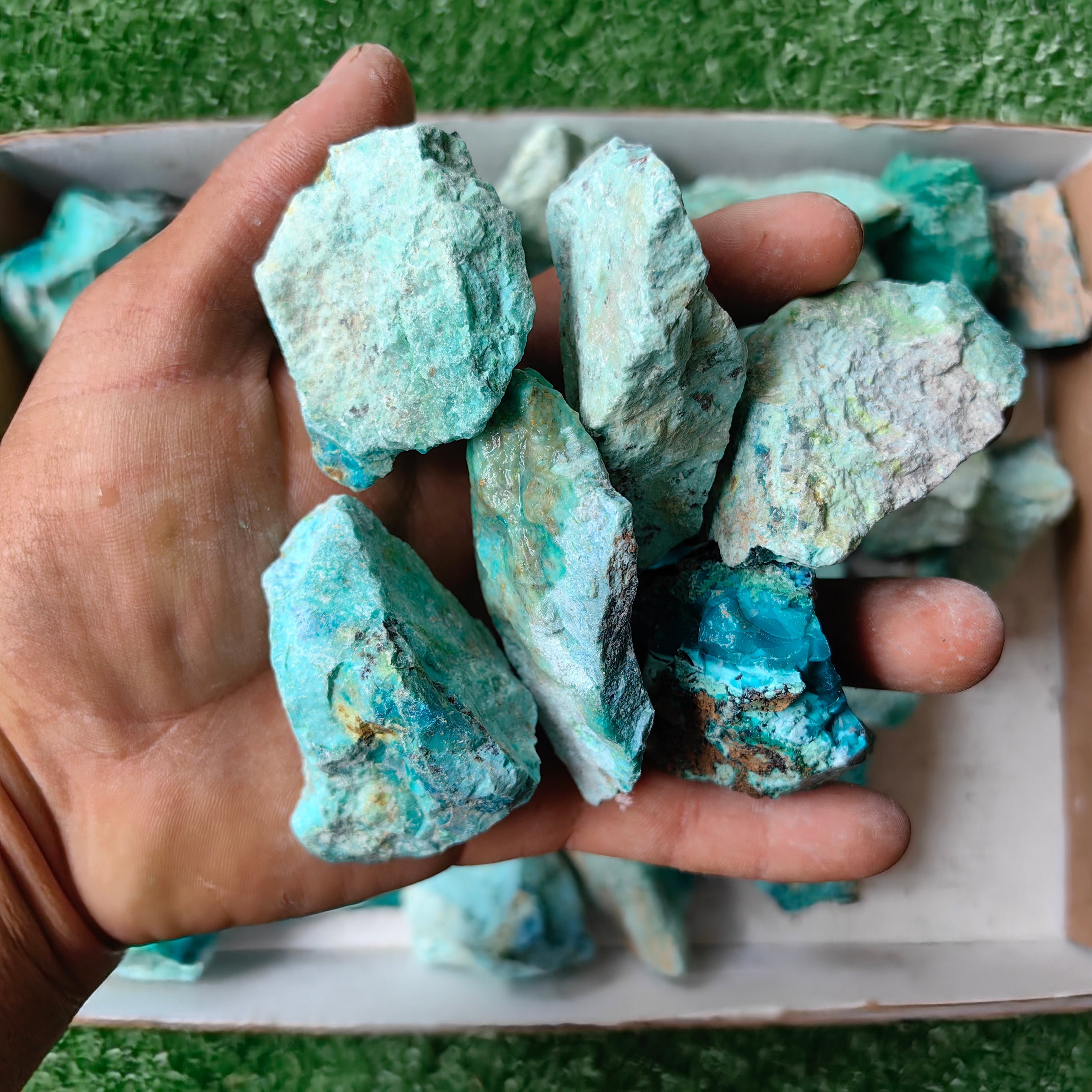 lot 50 pcs Chrysocolla Rough
