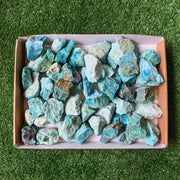lot 50 pcs Chrysocolla Rough
