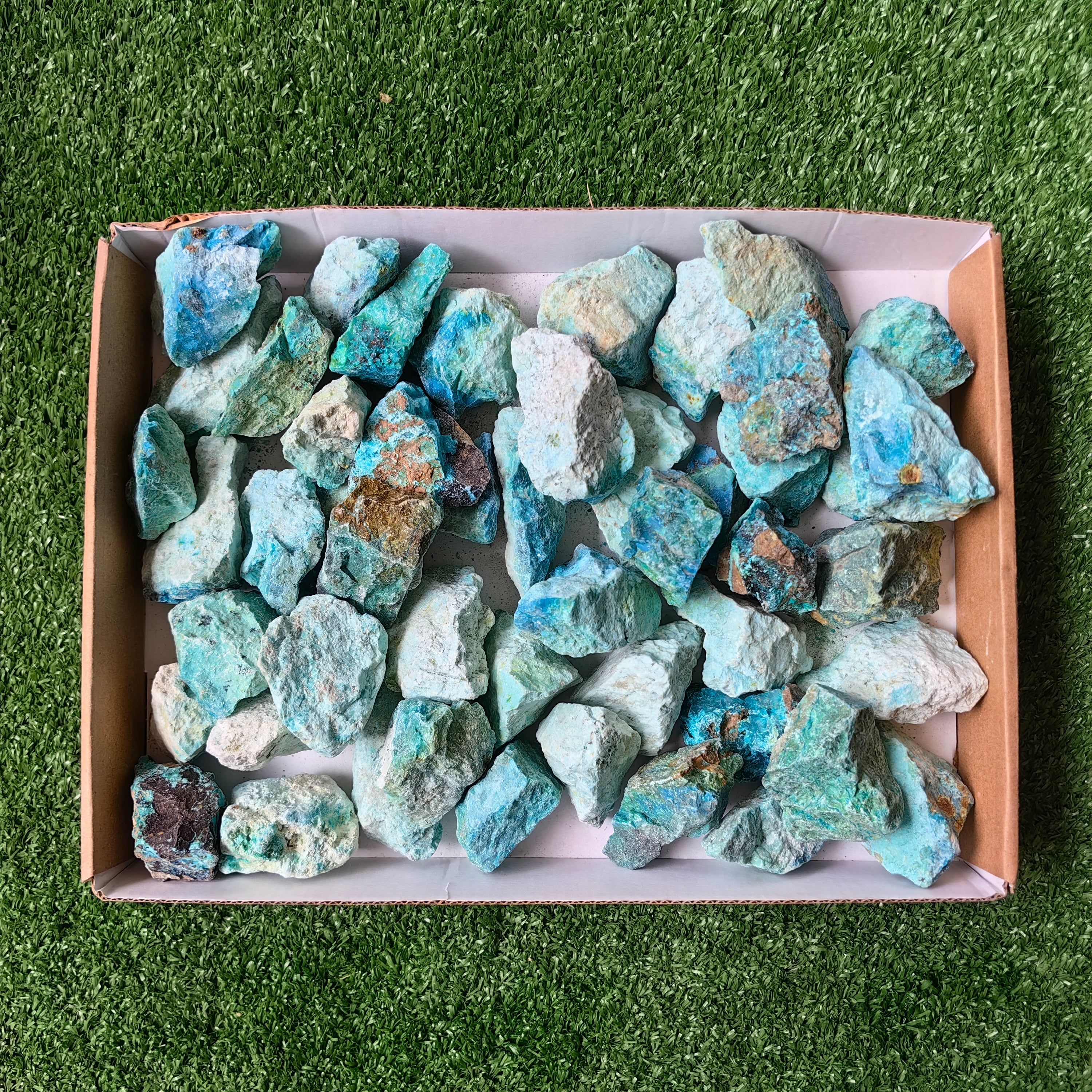 lot 50 pcs Chrysocolla Rough