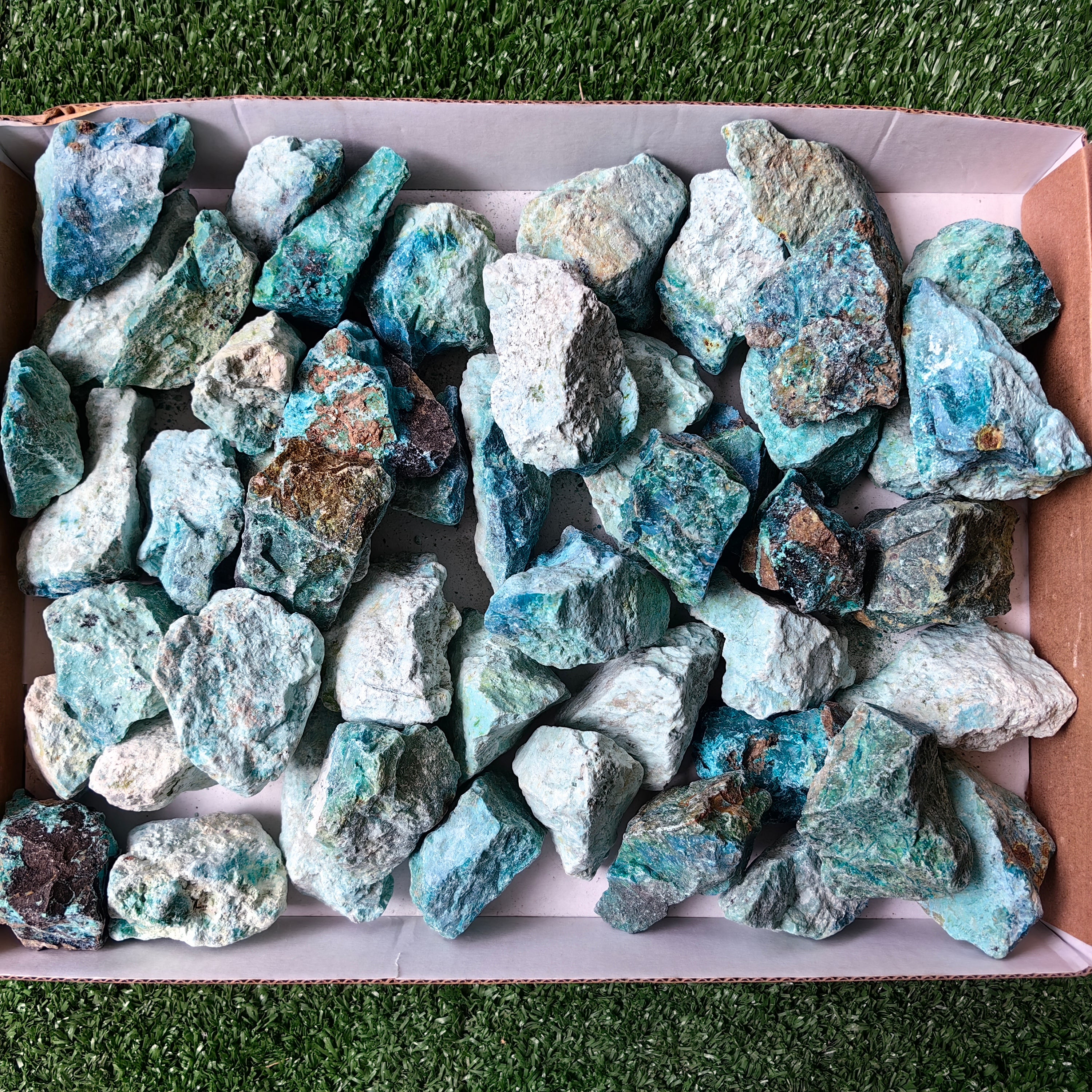 lot 50 pcs Chrysocolla Rough