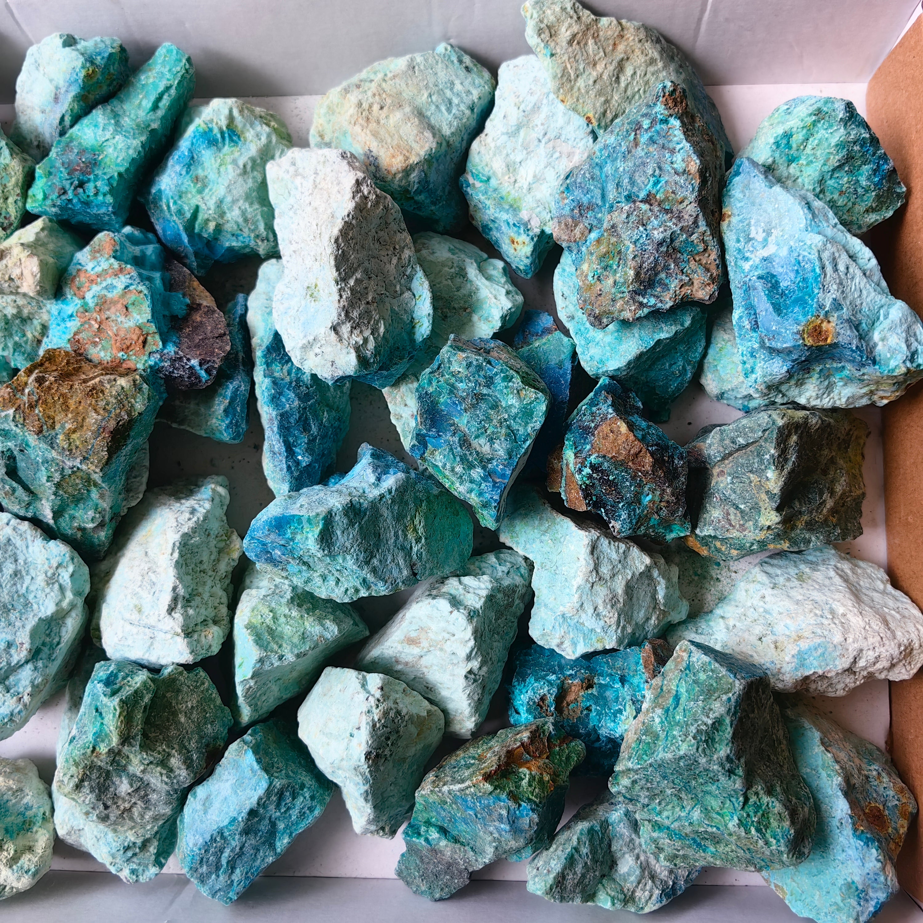 lot 50 pcs Chrysocolla Rough