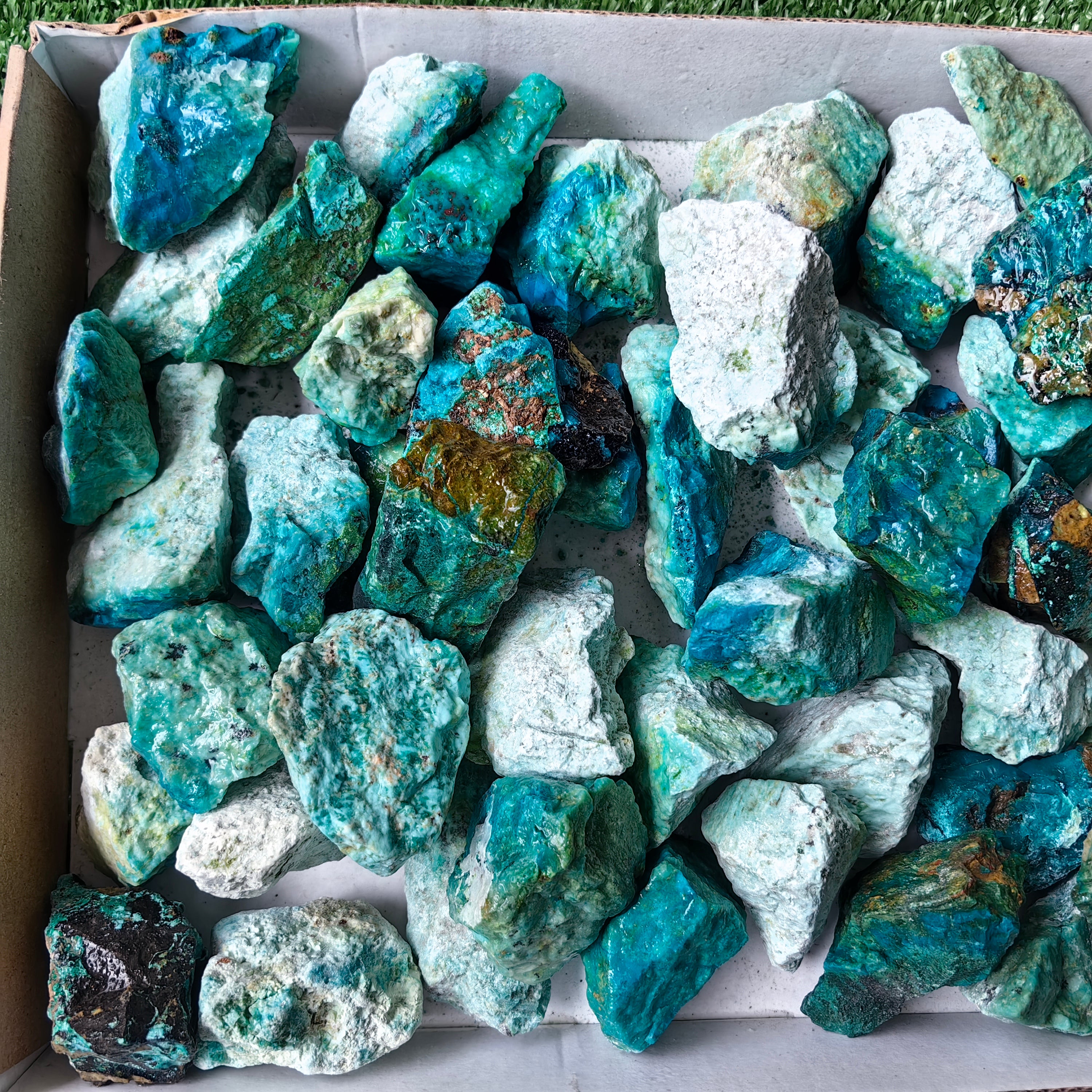 lot 50 pcs Chrysocolla Rough