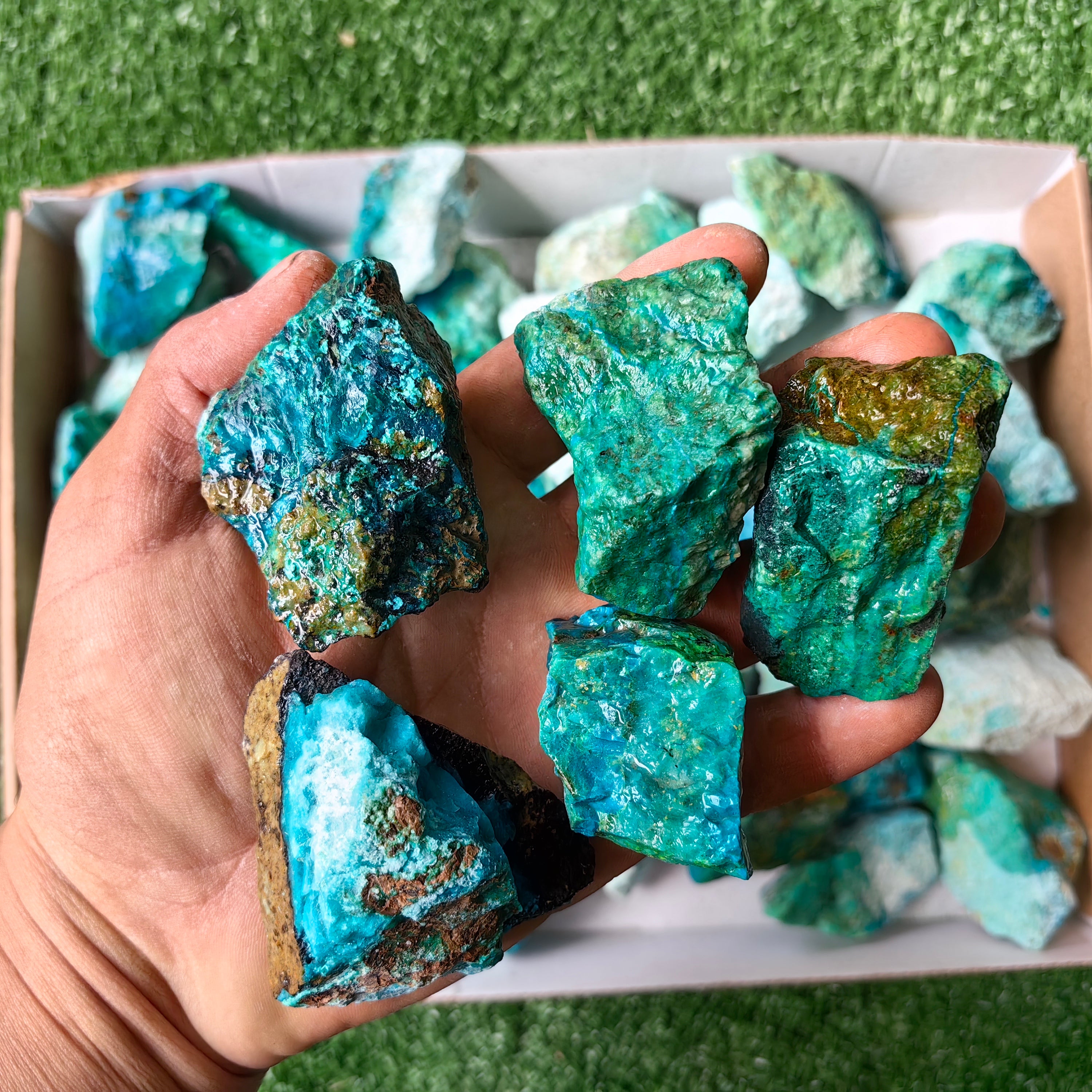 lot 50 pcs Chrysocolla Rough