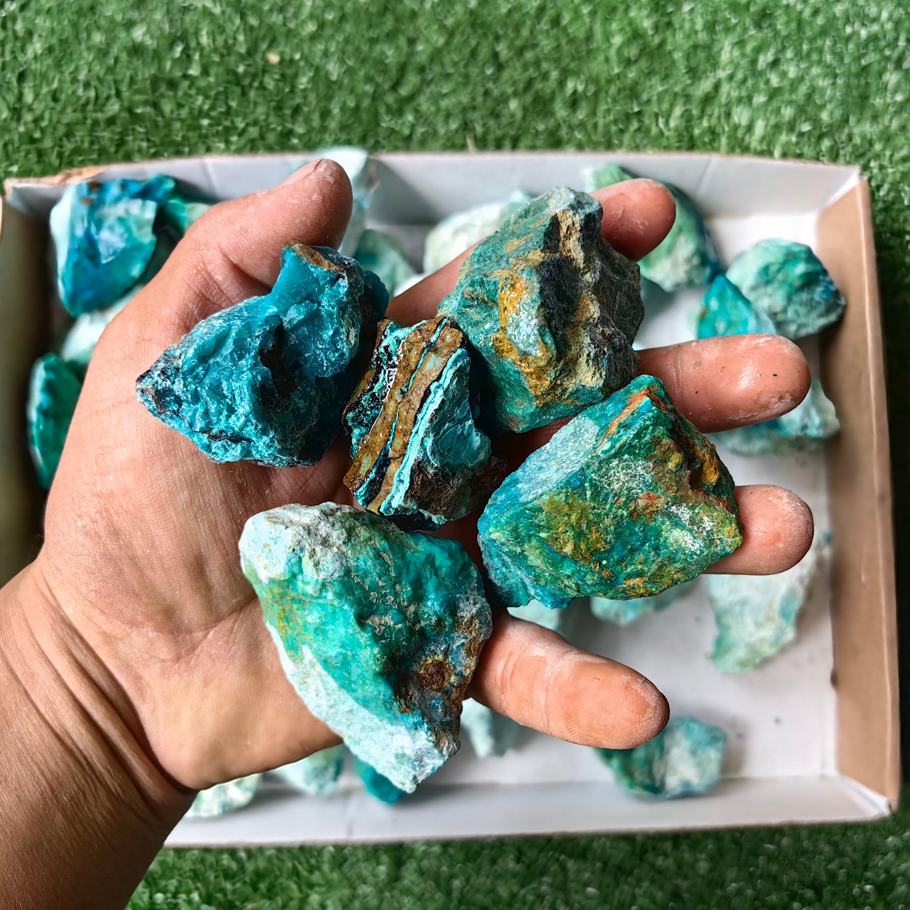 lot 50 pcs Chrysocolla Rough