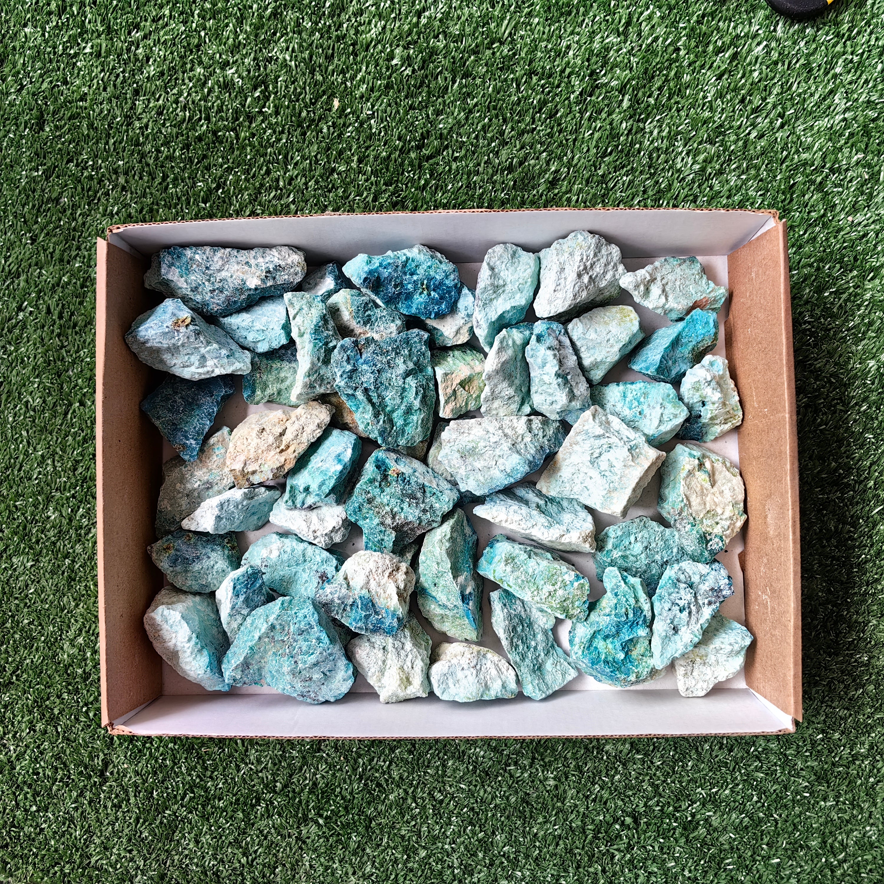 lot 50 pcs Chrysocolla Rough