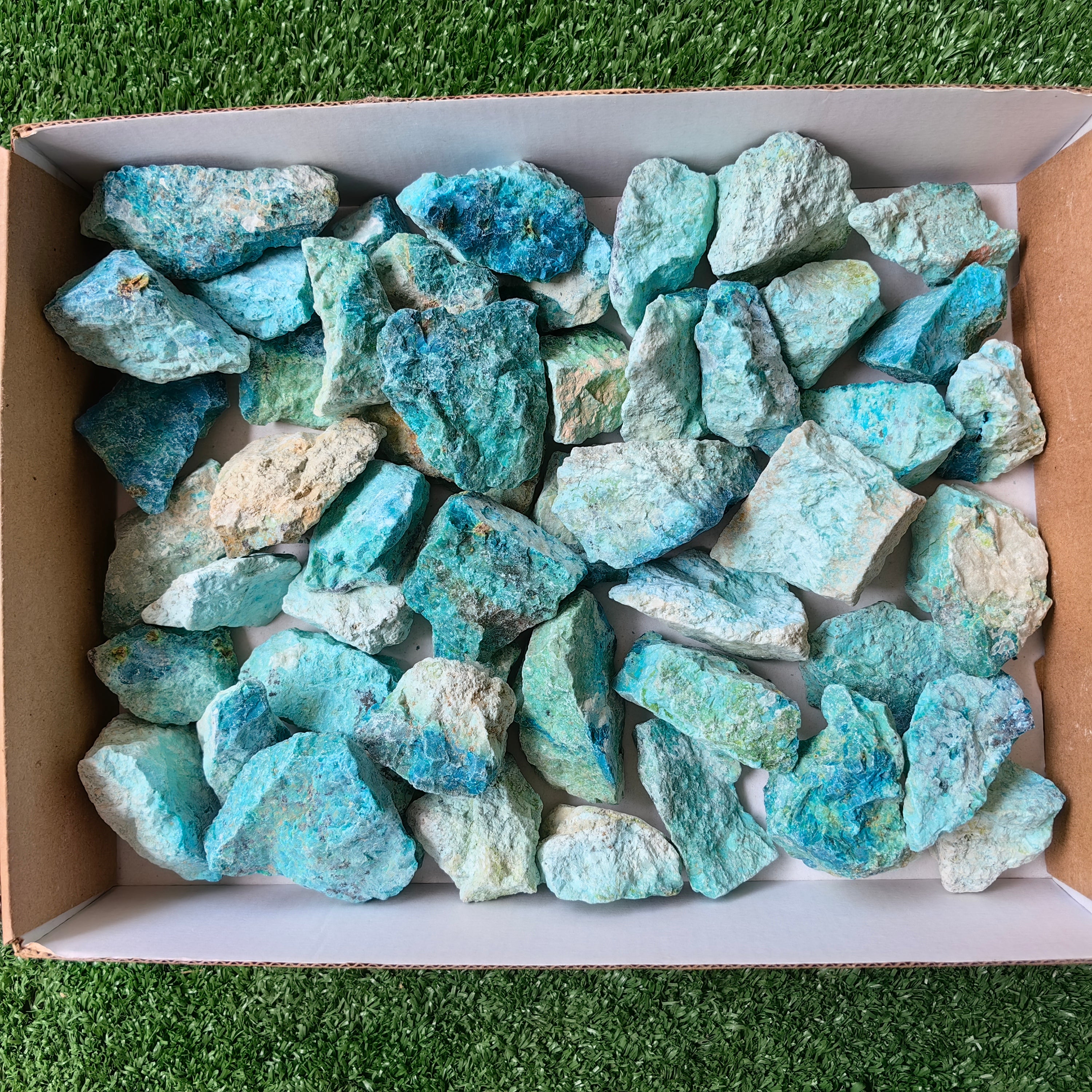 lot 50 pcs Chrysocolla Rough