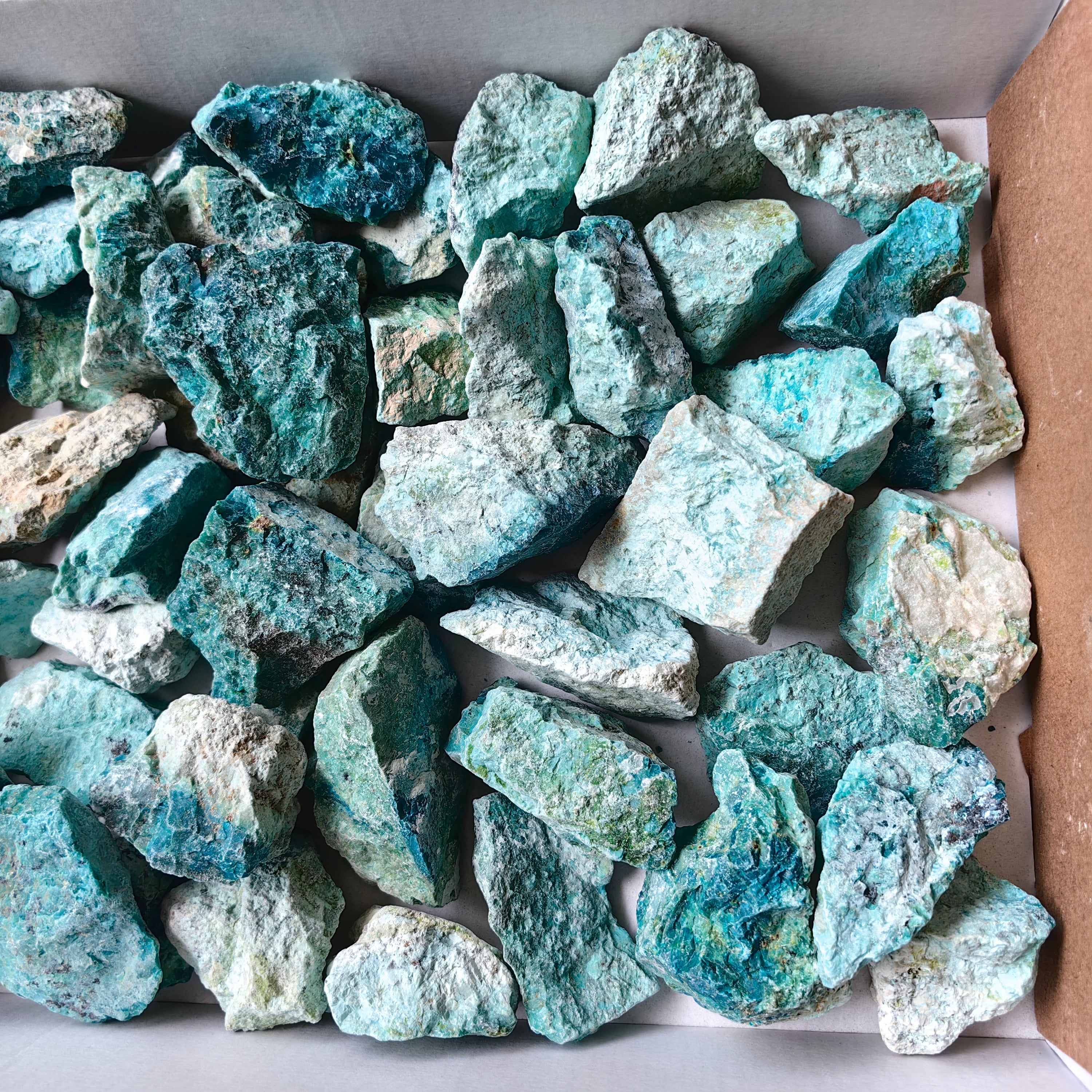 lot 50 pcs Chrysocolla Rough