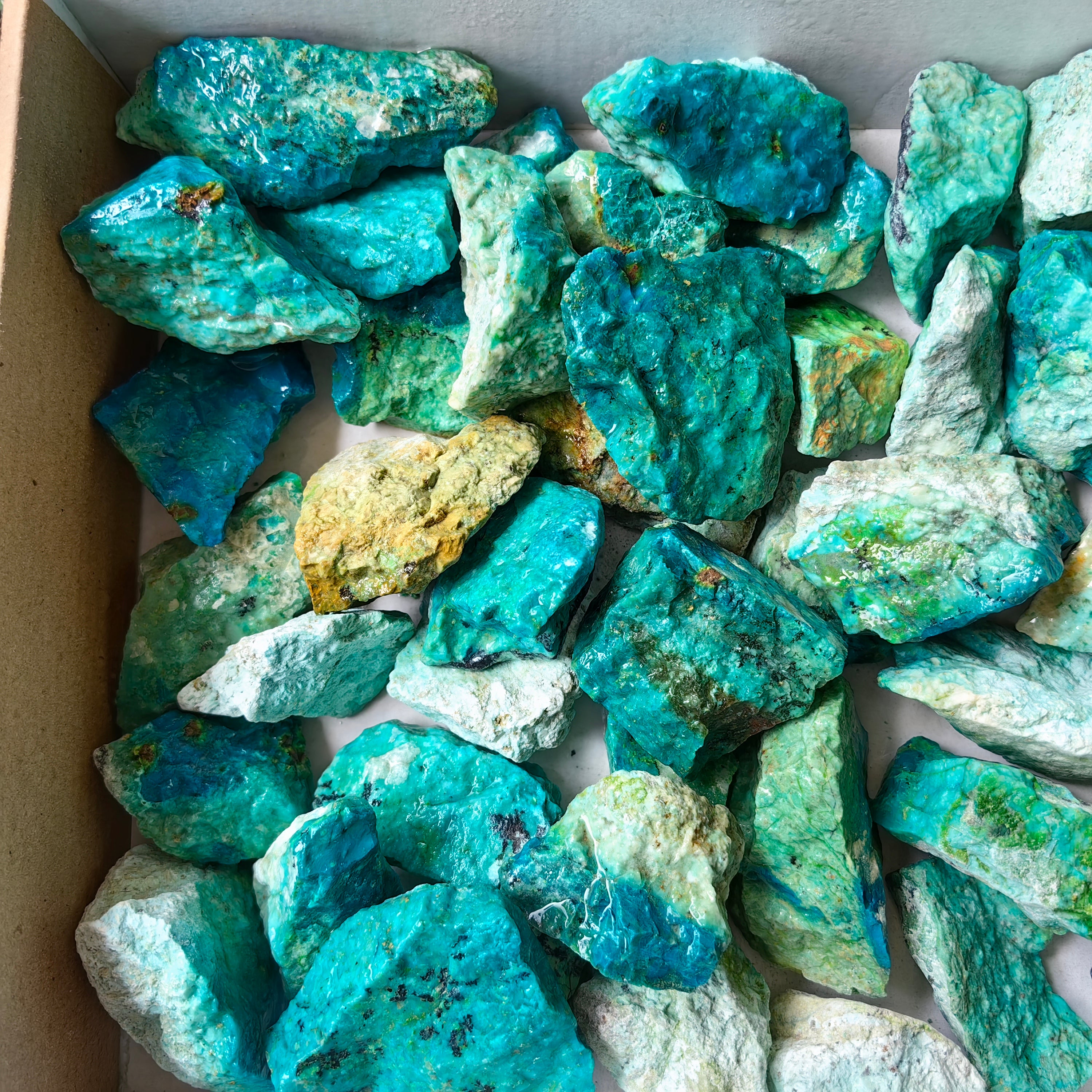 lot 50 pcs Chrysocolla Rough