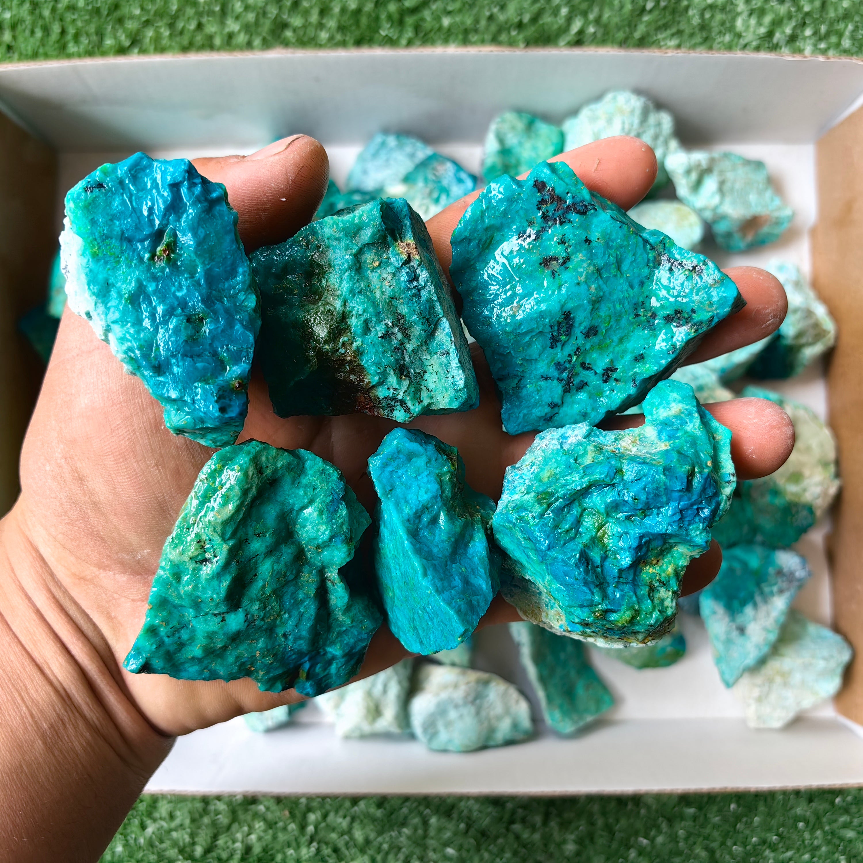 lot 50 pcs Chrysocolla Rough