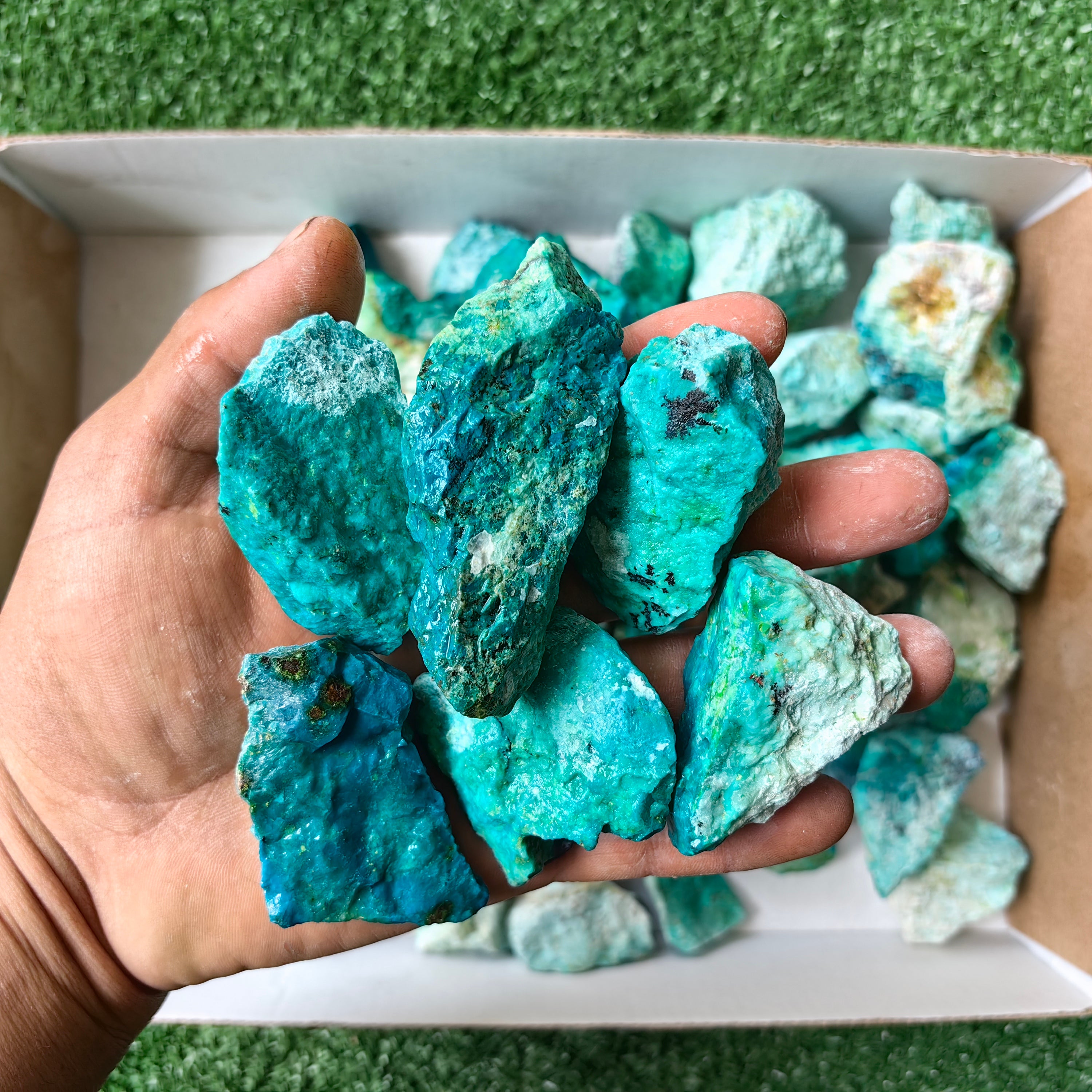 lot 50 pcs Chrysocolla Rough