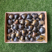 lot 41 pcs Covellite on Chalcopyrite heart