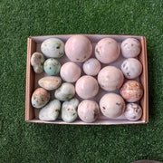 Lot 20 pcs Light-Colored Pink Opal, Chrysoprase free forms