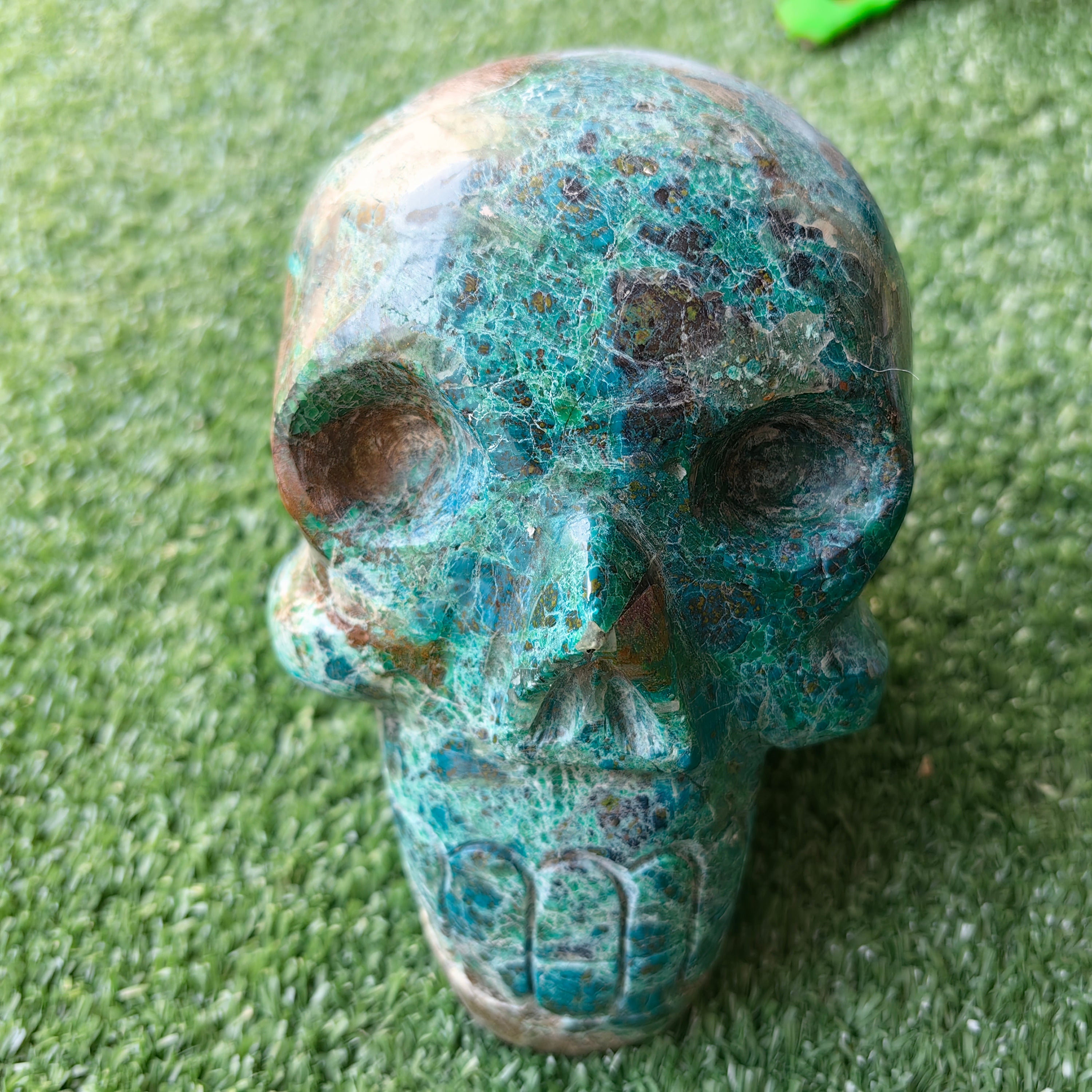1 pcs Chrysocolla skull