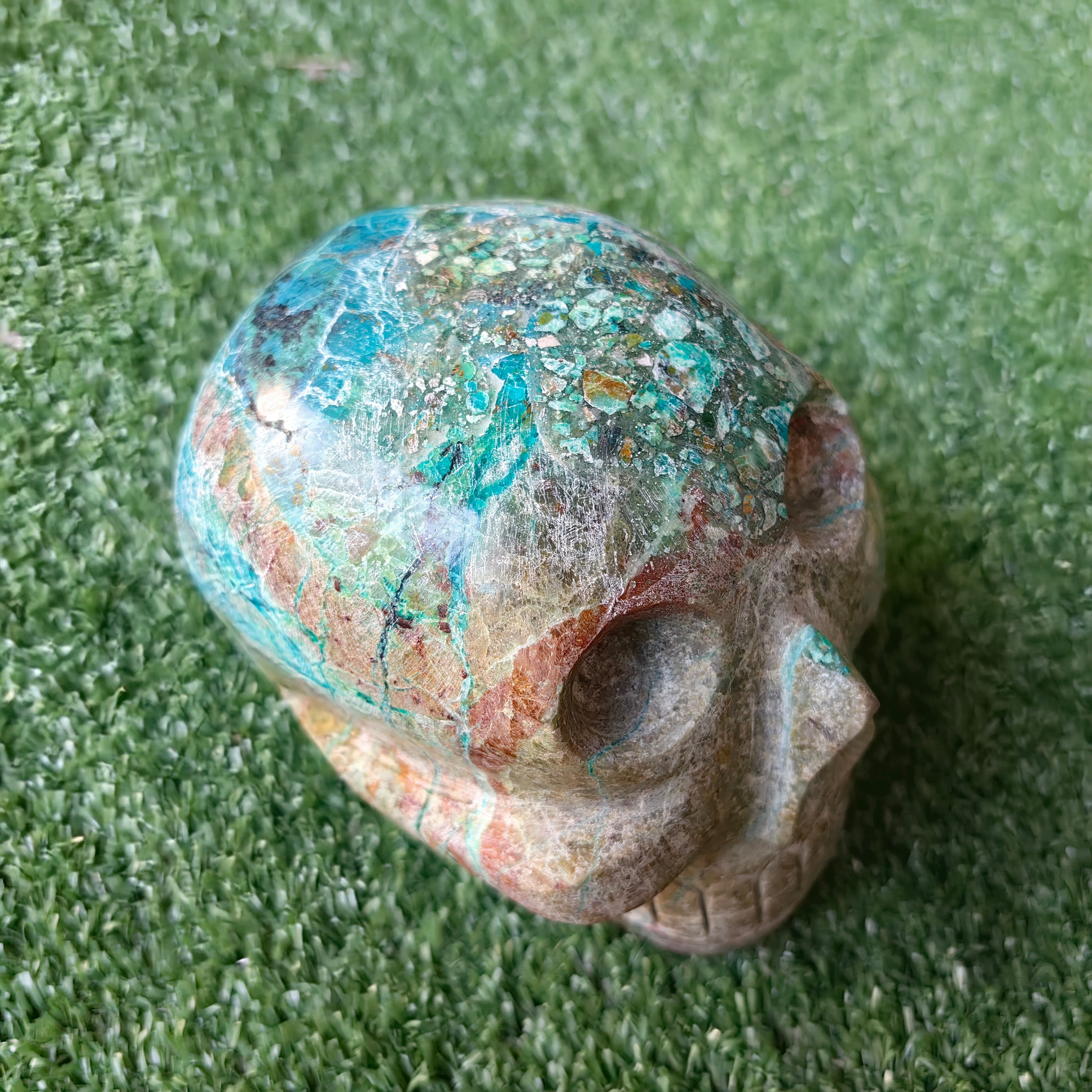 1 pcs Chrysocolla skull