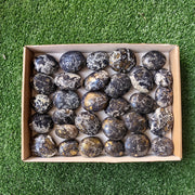 30 pcs Covellite on Chalcopyrite palm