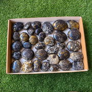 34 pcs Covellite on Chalcopyrite palm