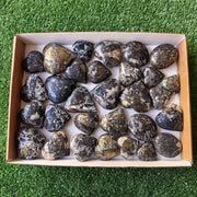 30 pcs Covellite on Chalcopyrite palm and heart