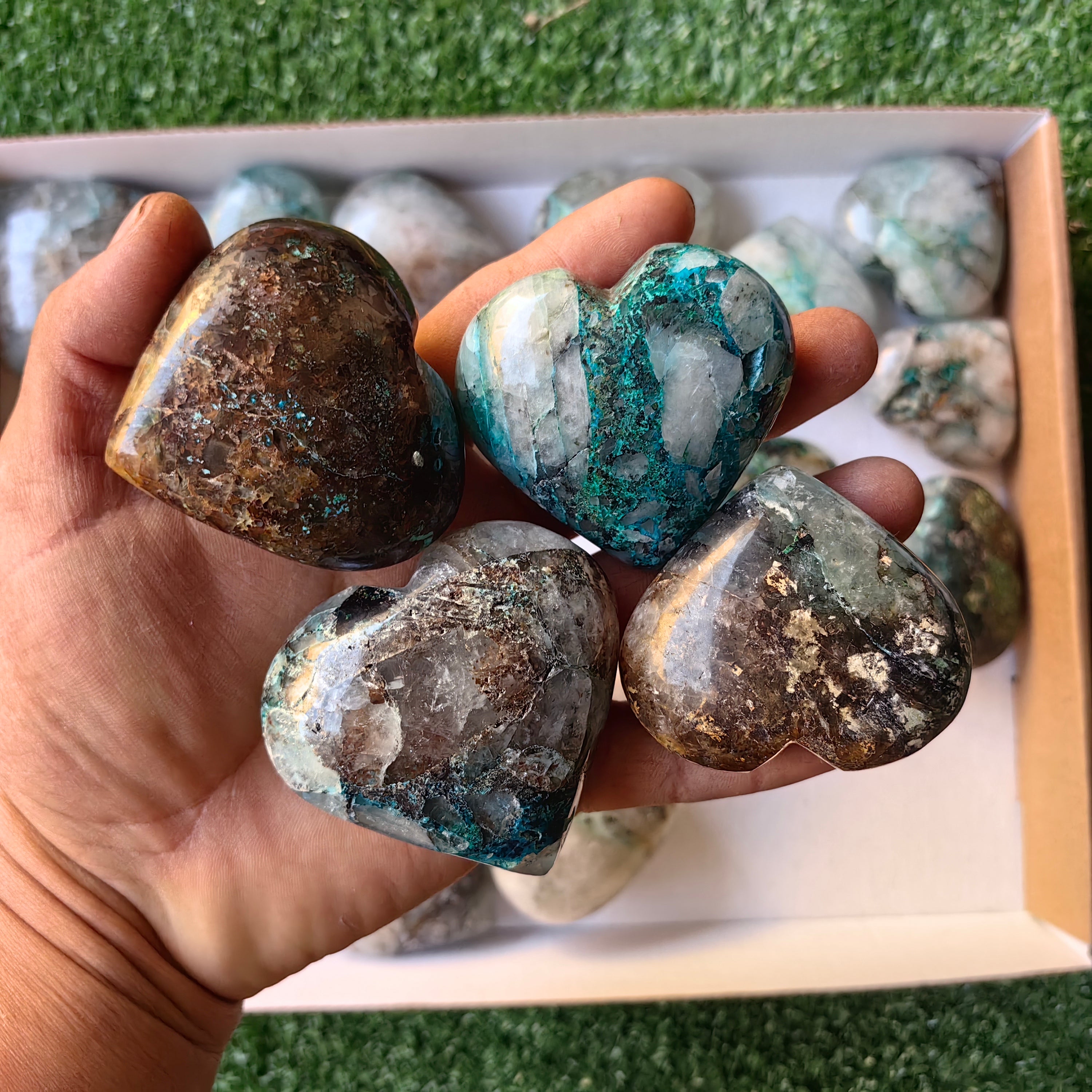 Lot 26 pcs Quantum Quattro heart