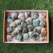 Lot 25 pcs Quantum Quattro Heart