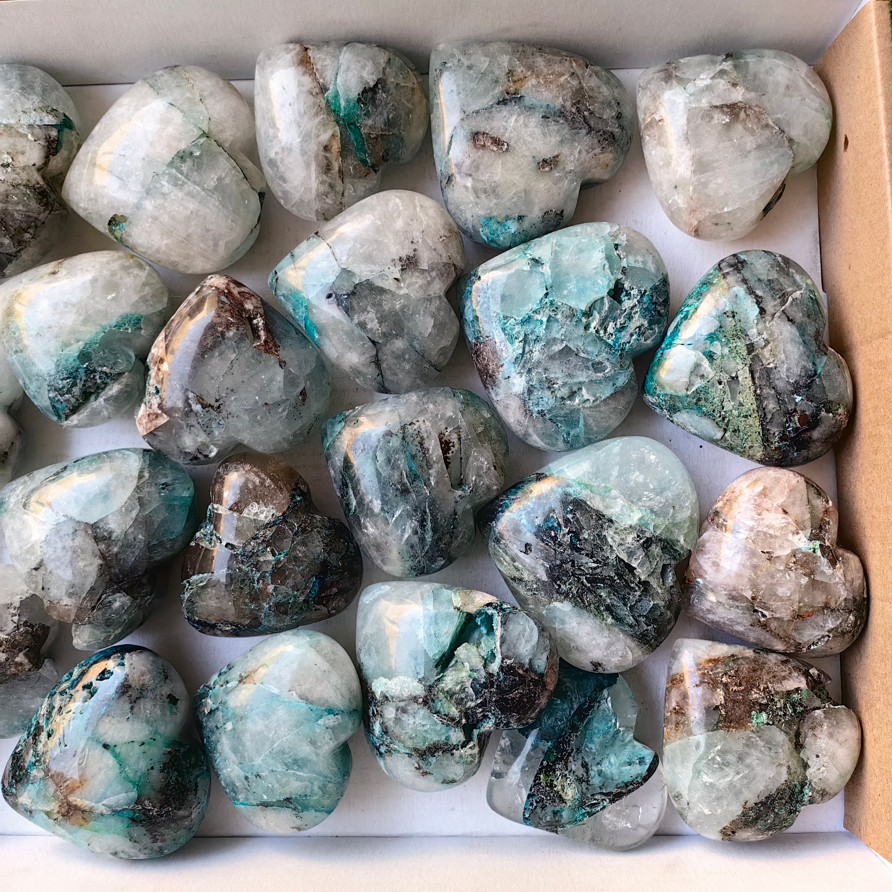 Lot 25 pcs Quantum Quattro Heart