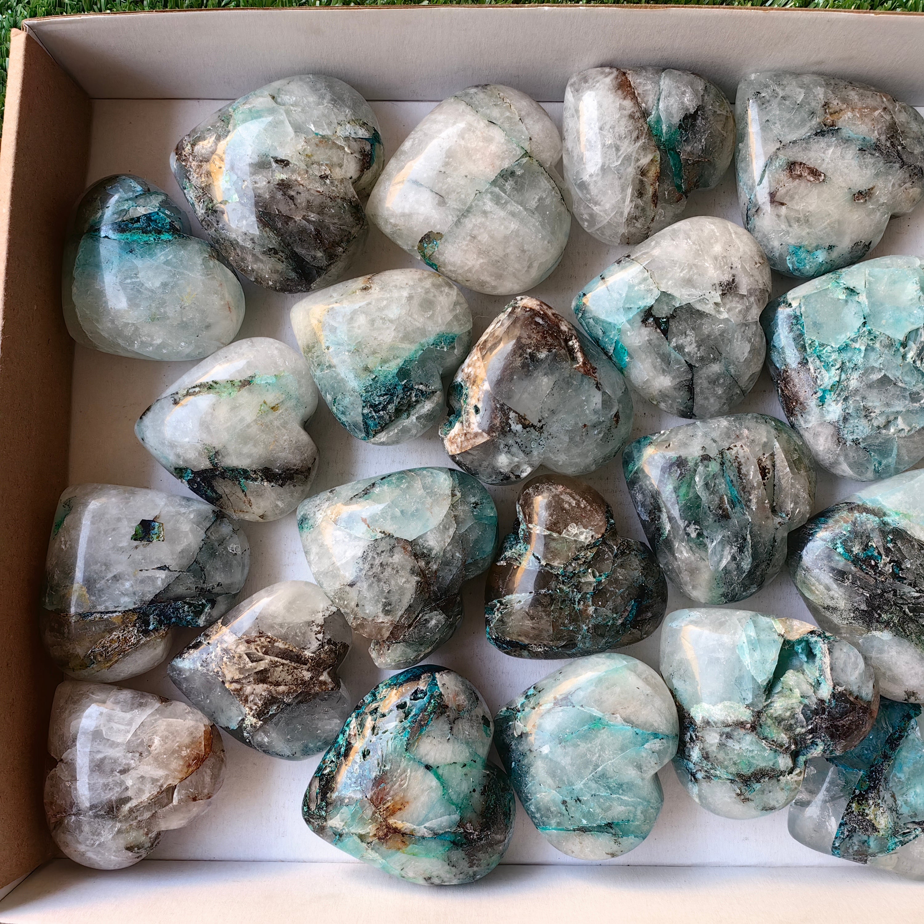 Lot 25 pcs Quantum Quattro Heart