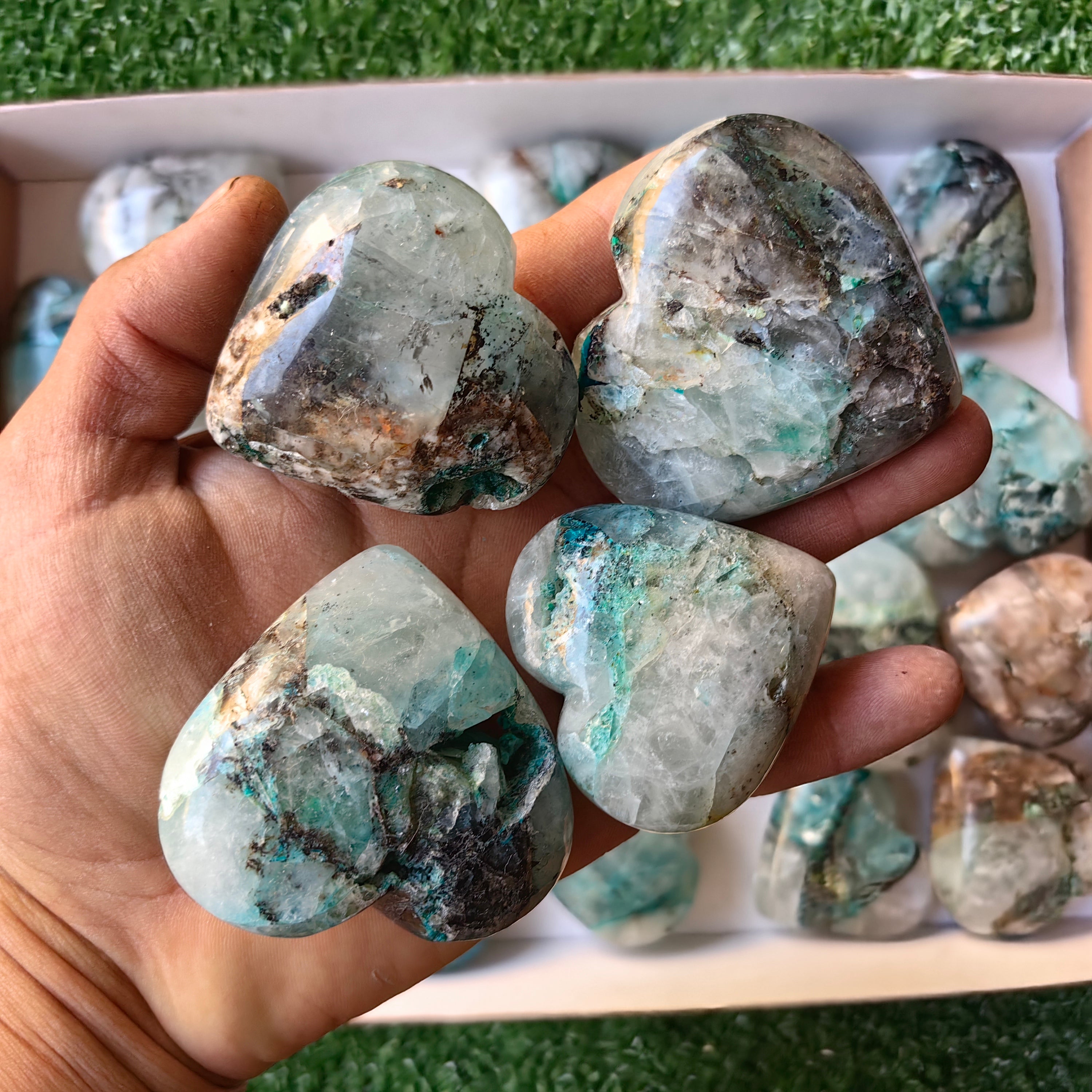 Lot 25 pcs Quantum Quattro Heart