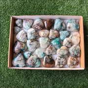 Lot 28 pcs Quantum Quattro Heart