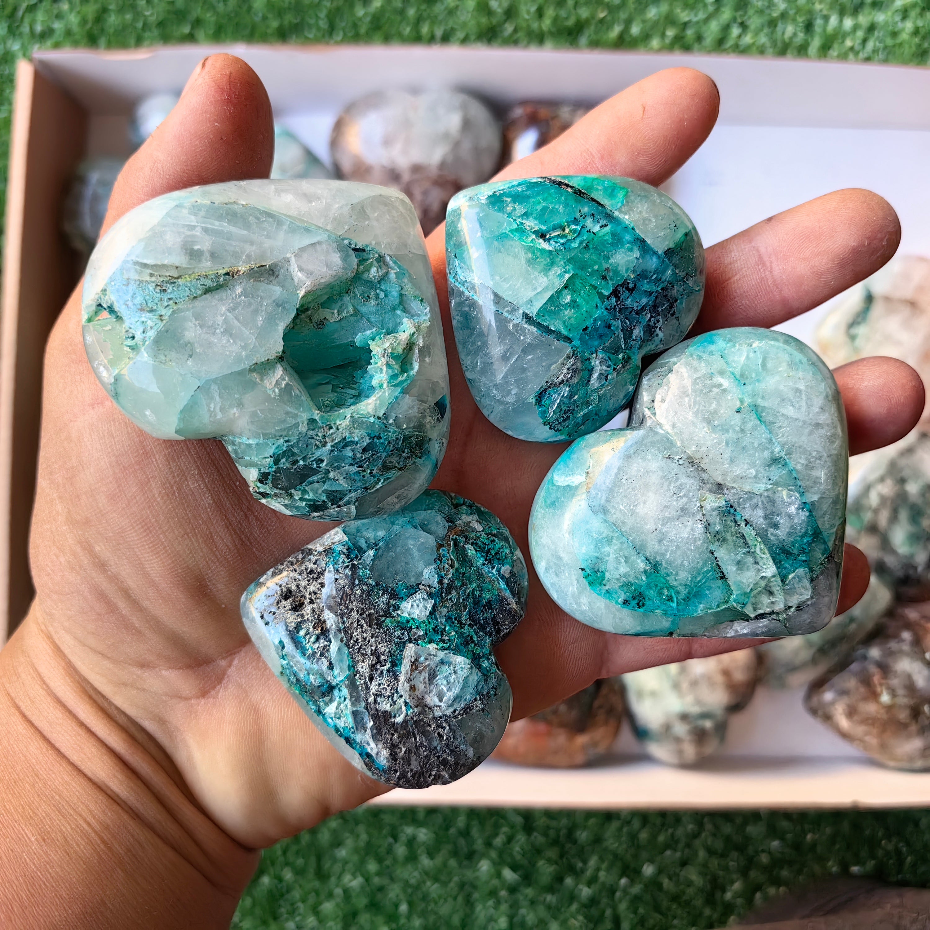 Lot 28 pcs Quantum Quattro Heart