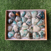 Lot 24 pcs Quantum Quattro Heart