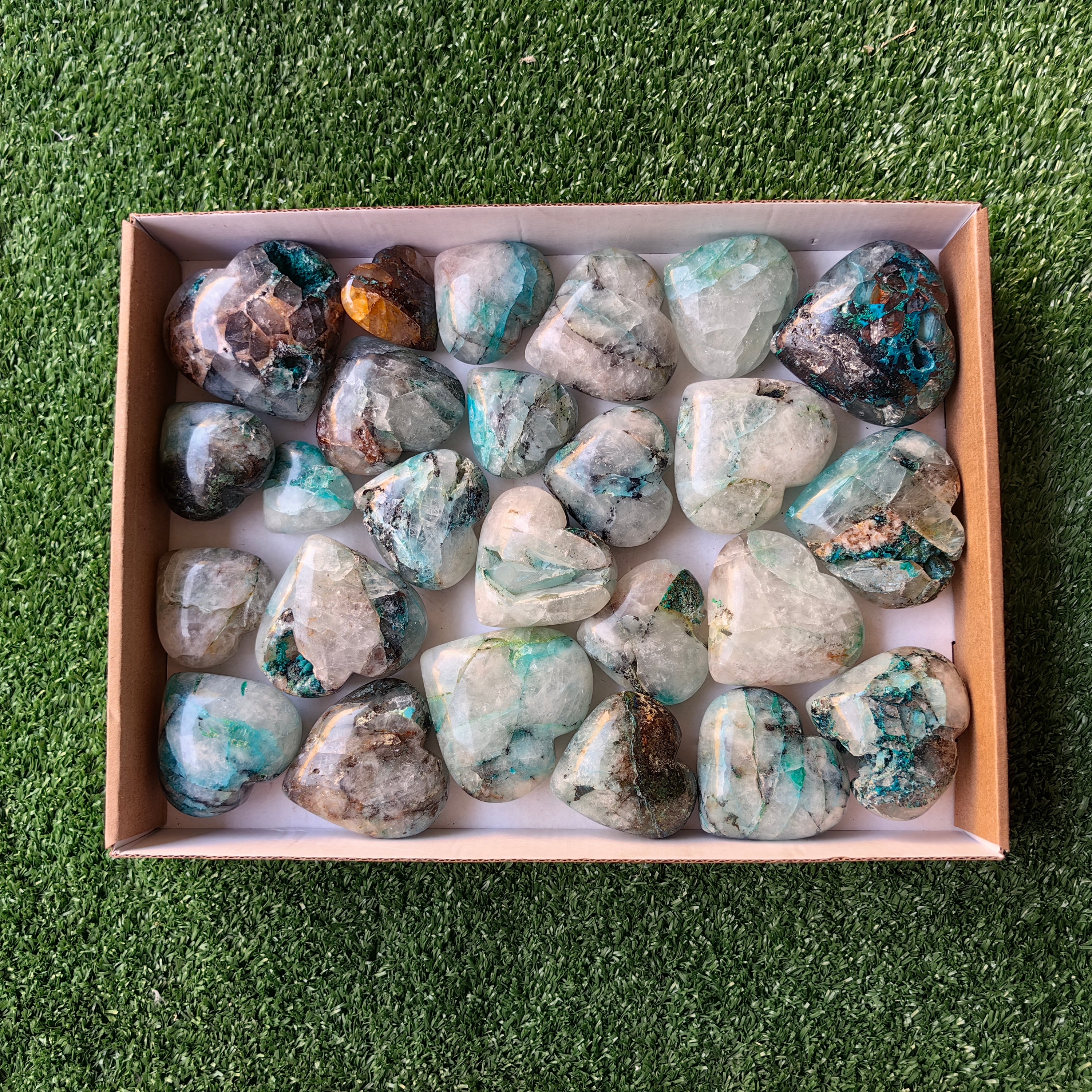 Lot 24 pcs Quantum Quattro Heart