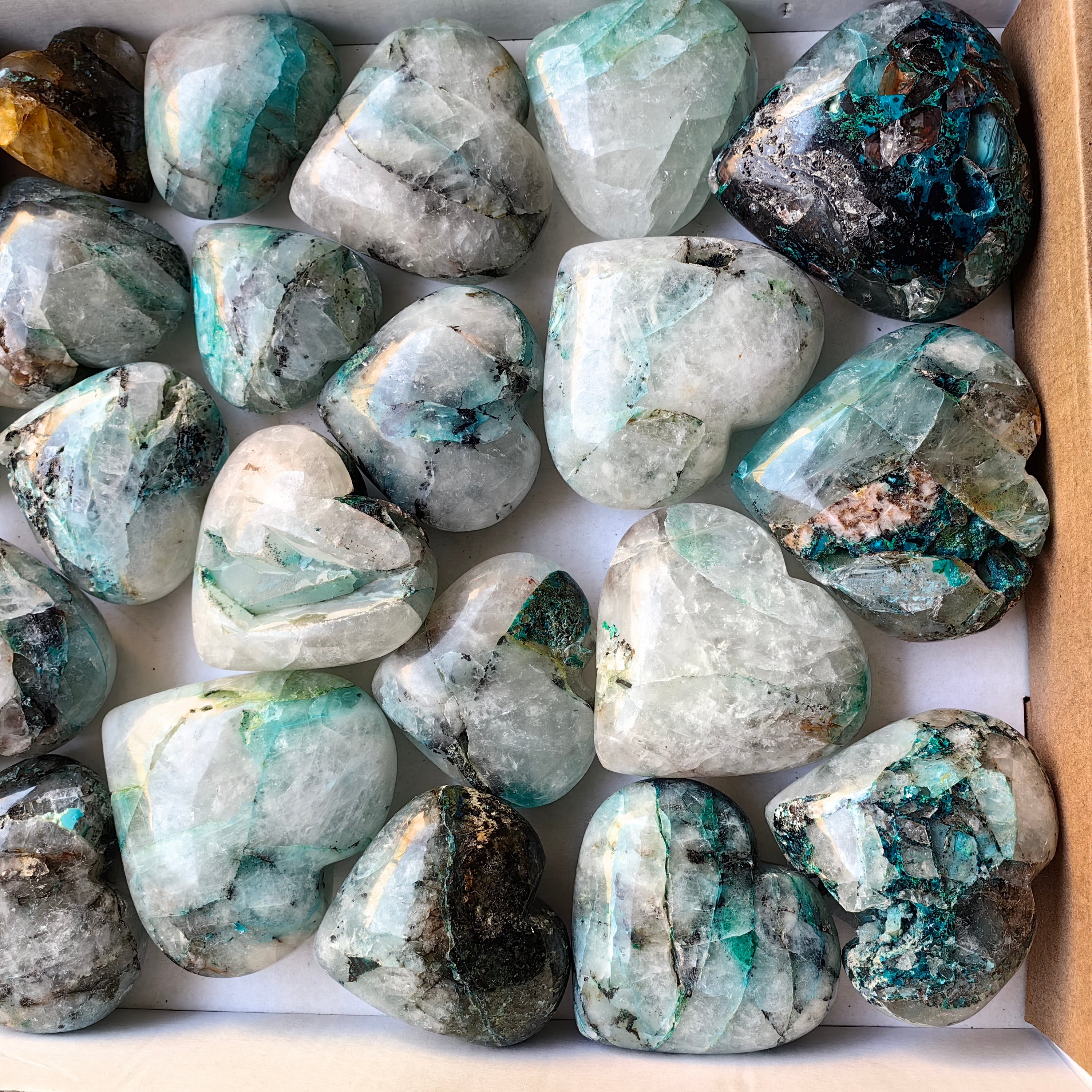 Lot 24 pcs Quantum Quattro Heart