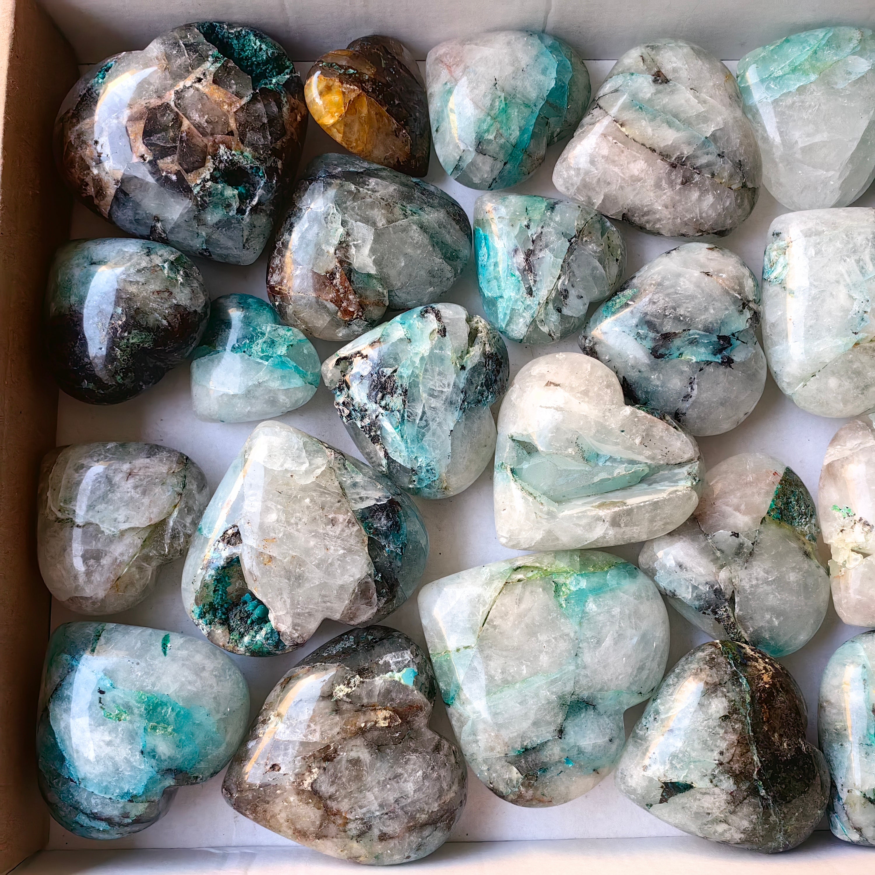 Lot 24 pcs Quantum Quattro Heart
