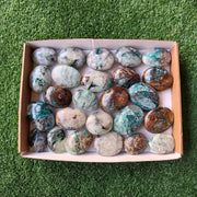 Lot 25 pcs Quantum Quattro Palm