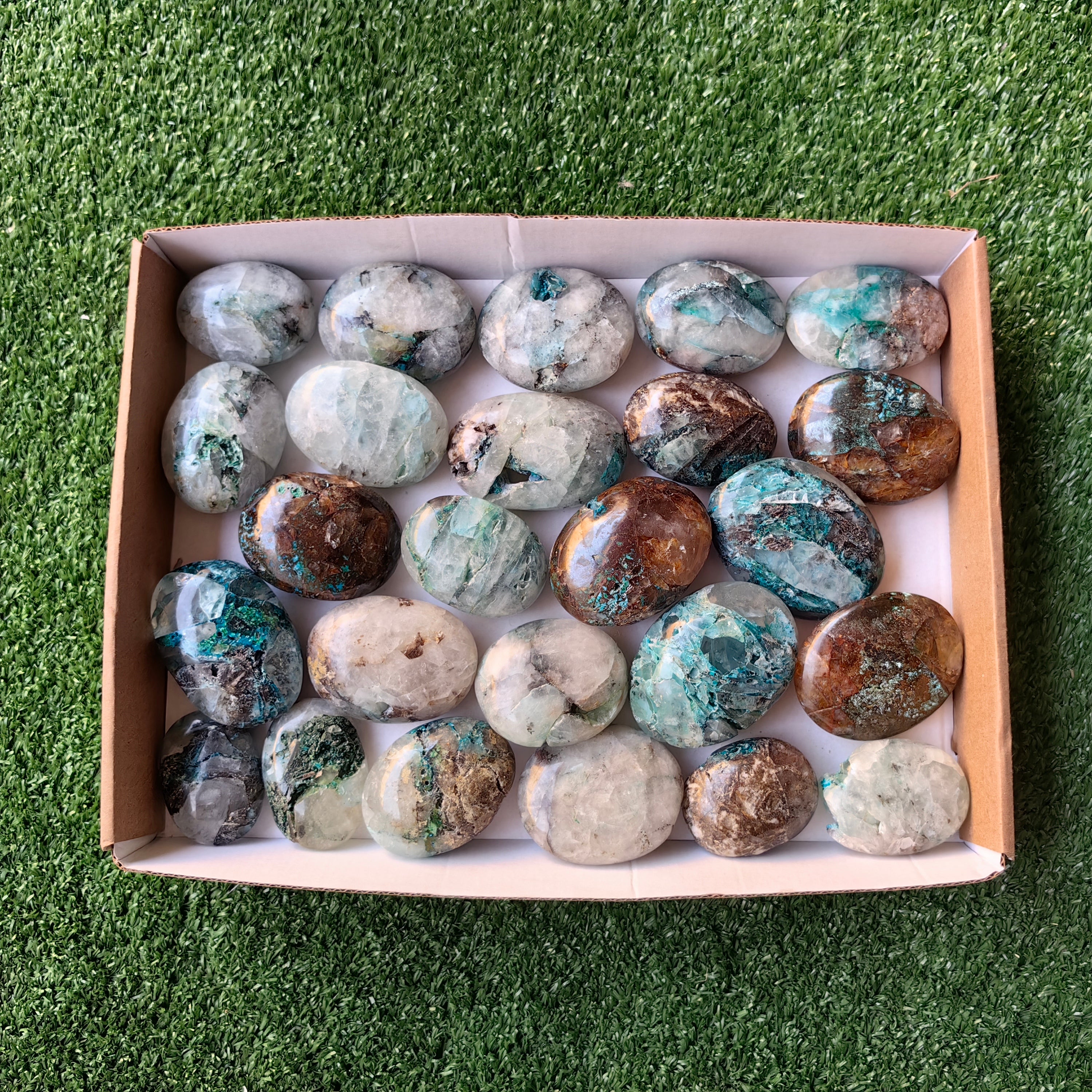 Lot 25 pcs Quantum Quattro Palm