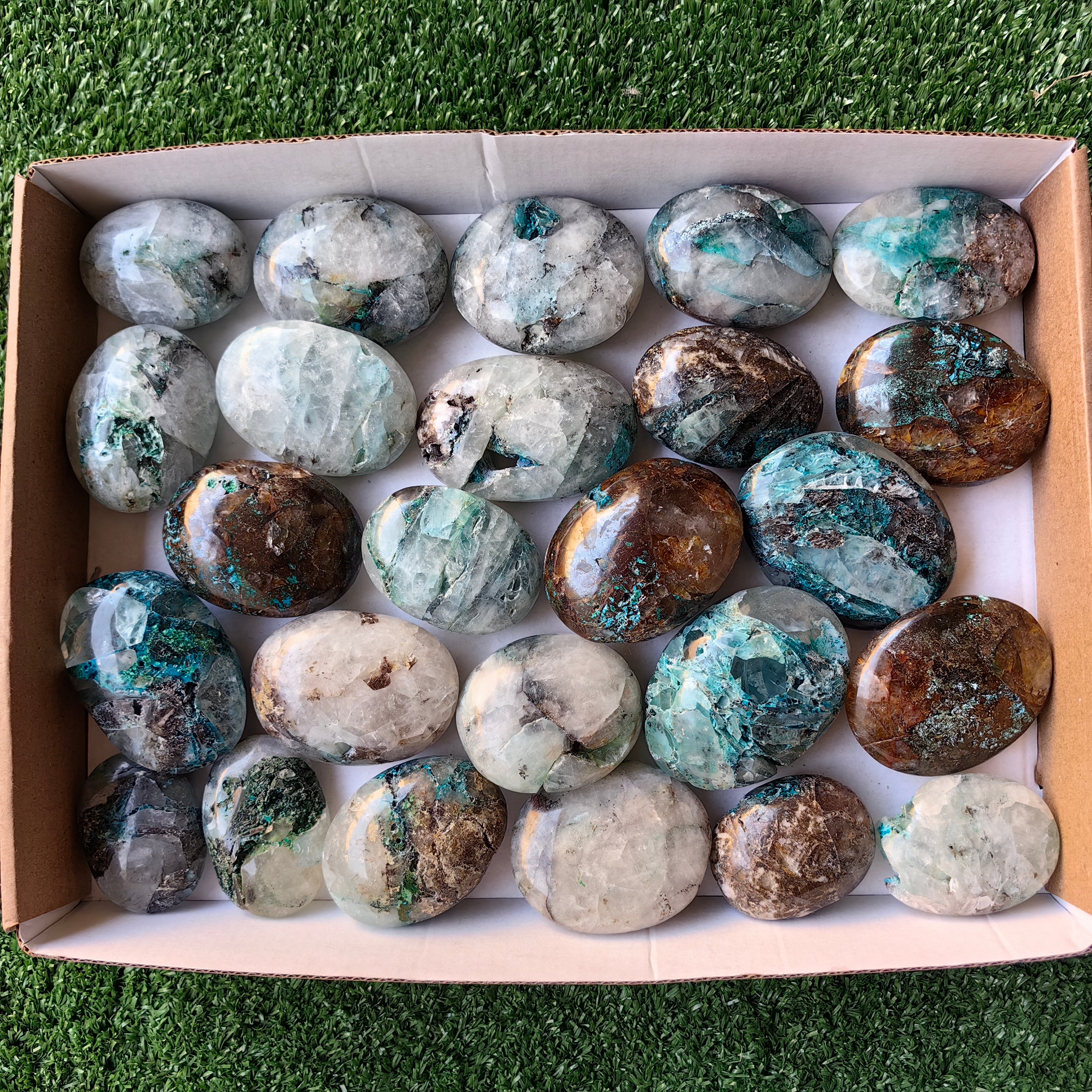 Lot 25 pcs Quantum Quattro Palm