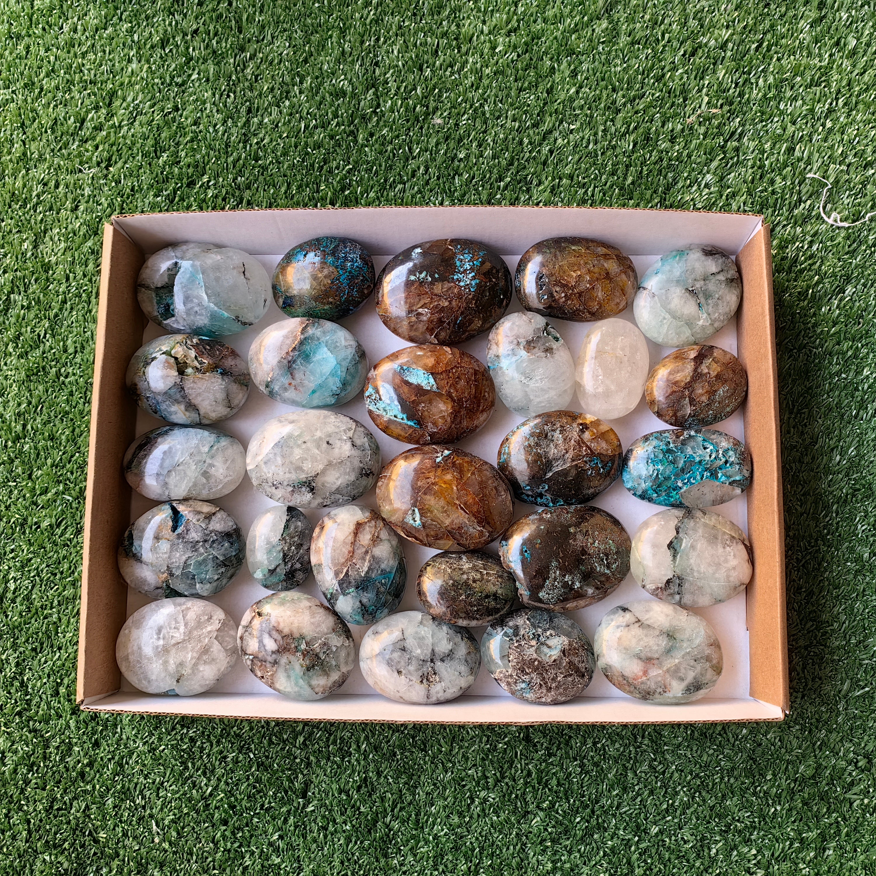 Lot 27 pcs Quantum Quattro Palm