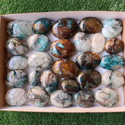 Lot 27 pcs Quantum Quattro Palm