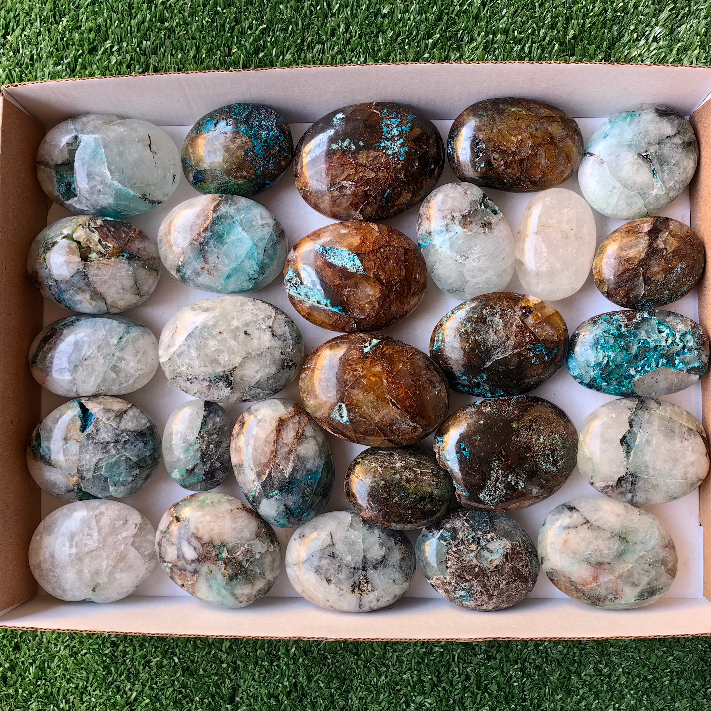 Lot 27 pcs Quantum Quattro Palm