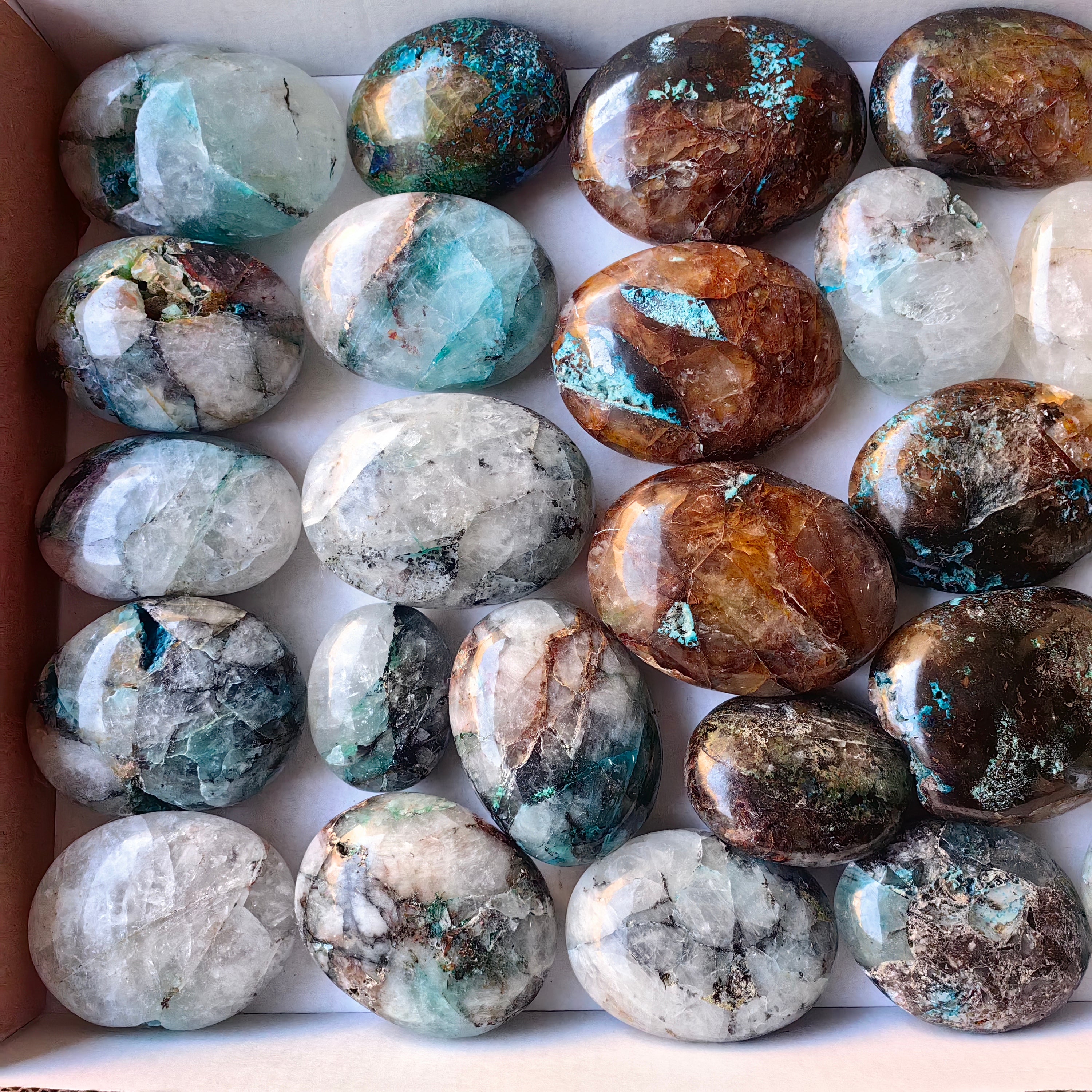 Lot 27 pcs Quantum Quattro Palm