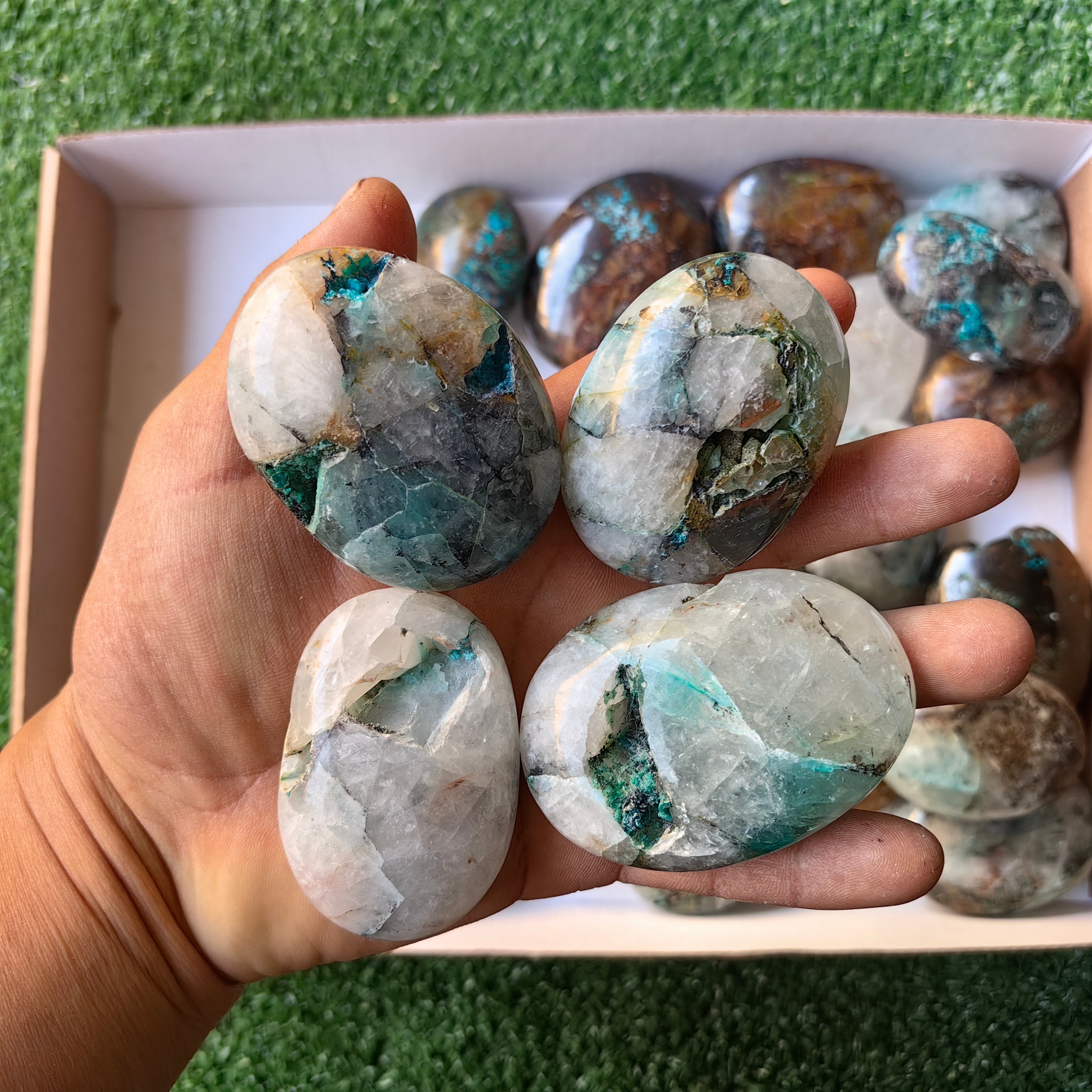 Lot 27 pcs Quantum Quattro Palm