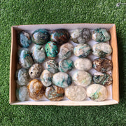 Lot 26 pcs Quantum Quattro Palm