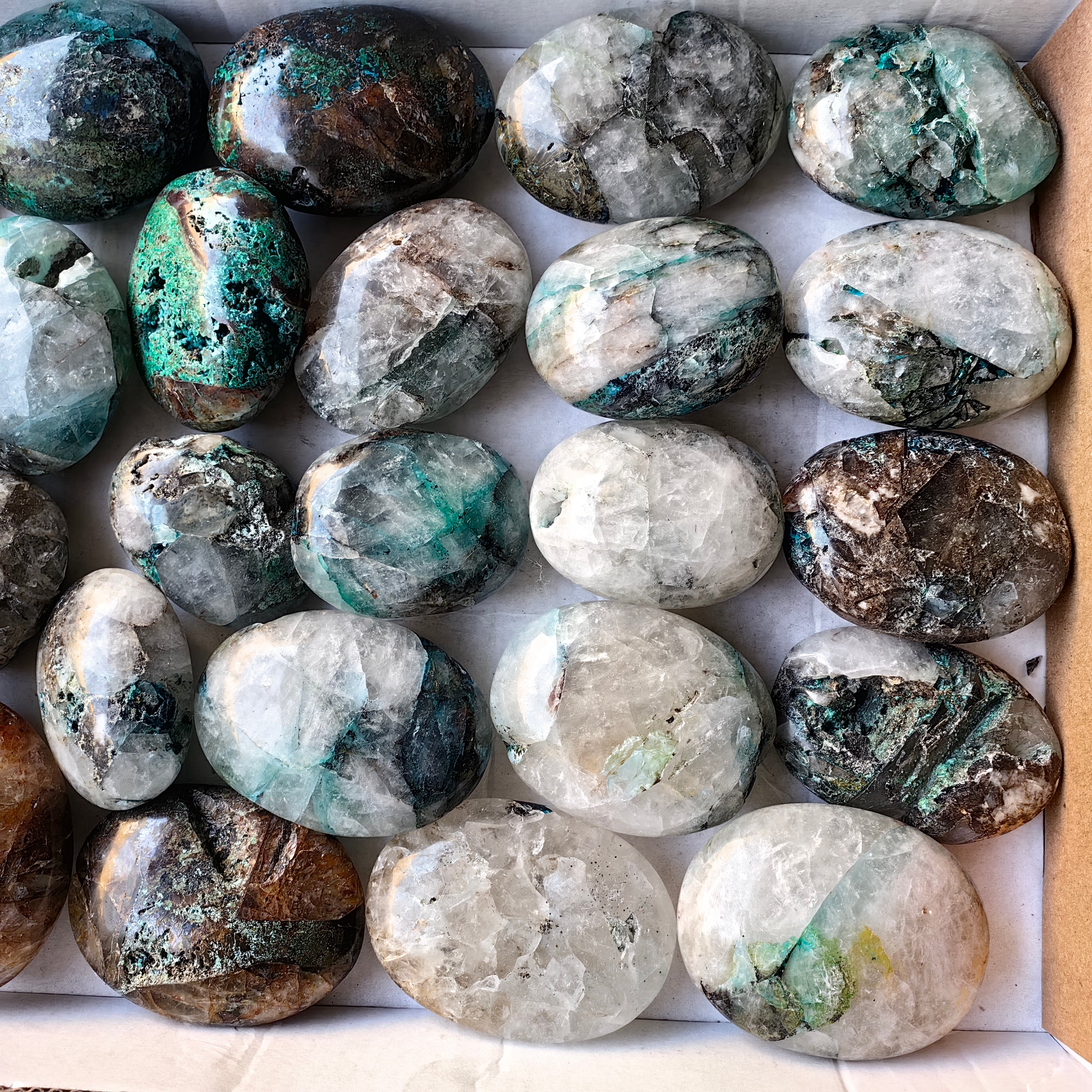 Lot 26 pcs Quantum Quattro Palm