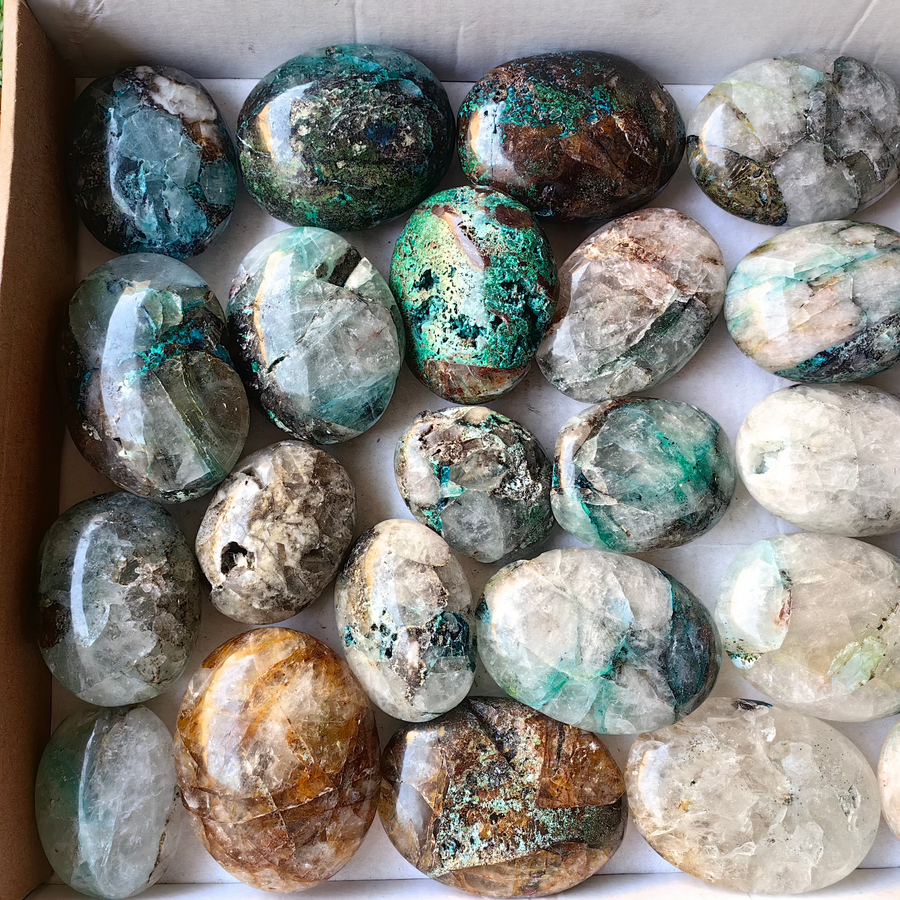 Lot 26 pcs Quantum Quattro Palm