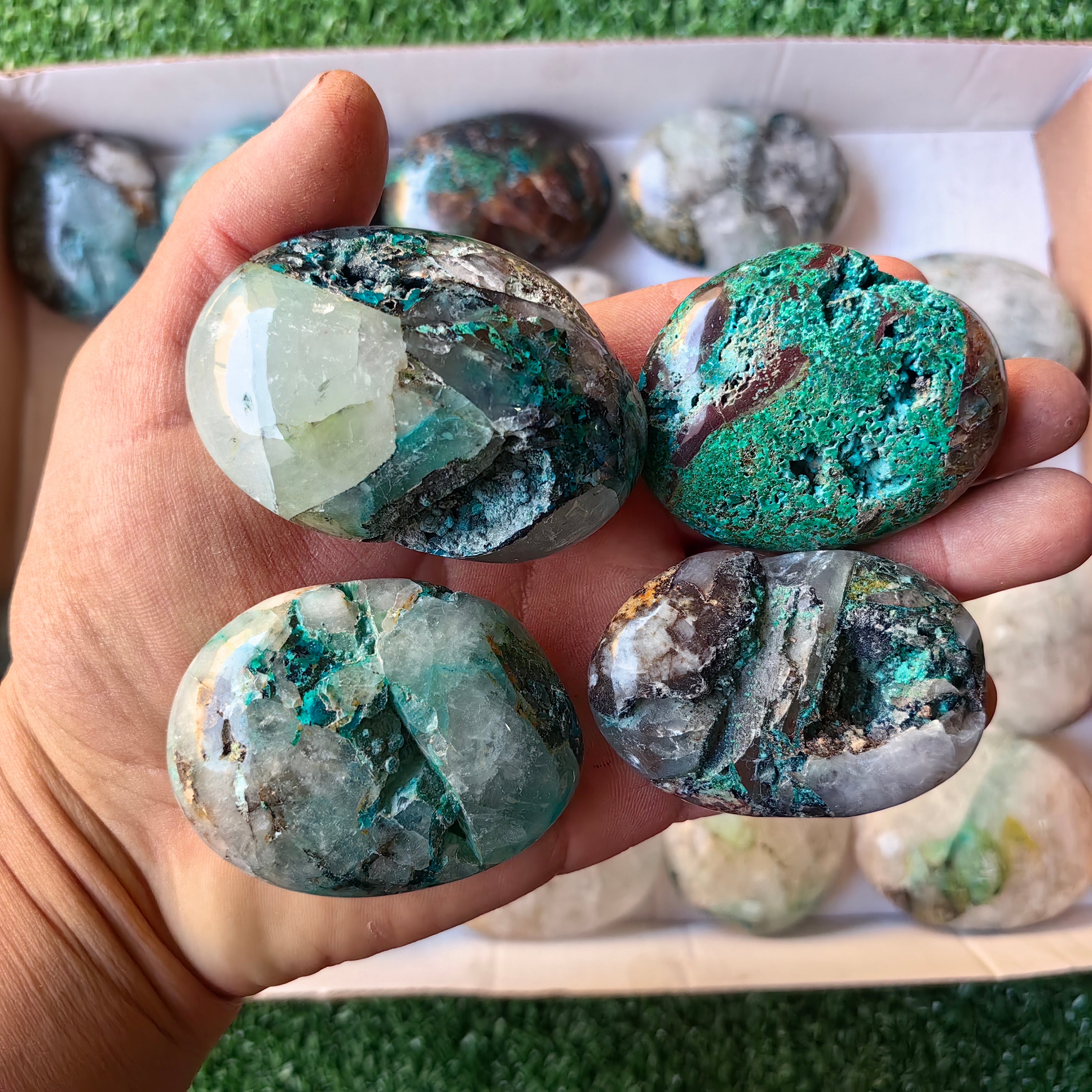 Lot 26 pcs Quantum Quattro Palm