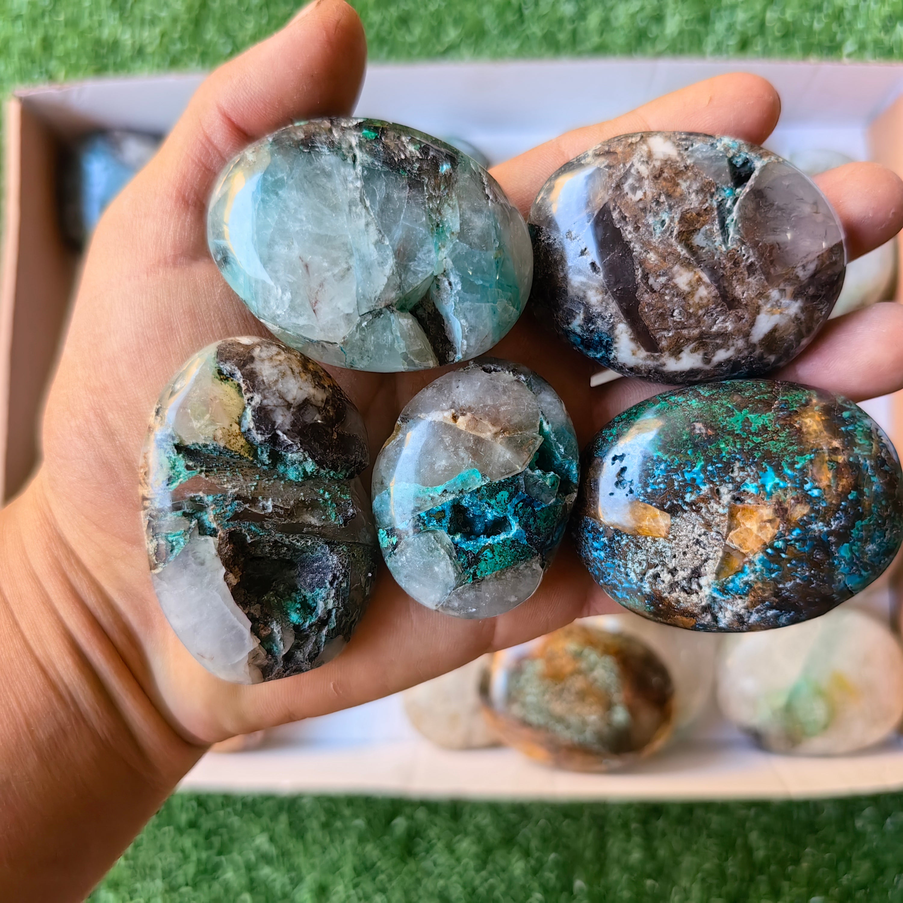 Lot 26 pcs Quantum Quattro Palm