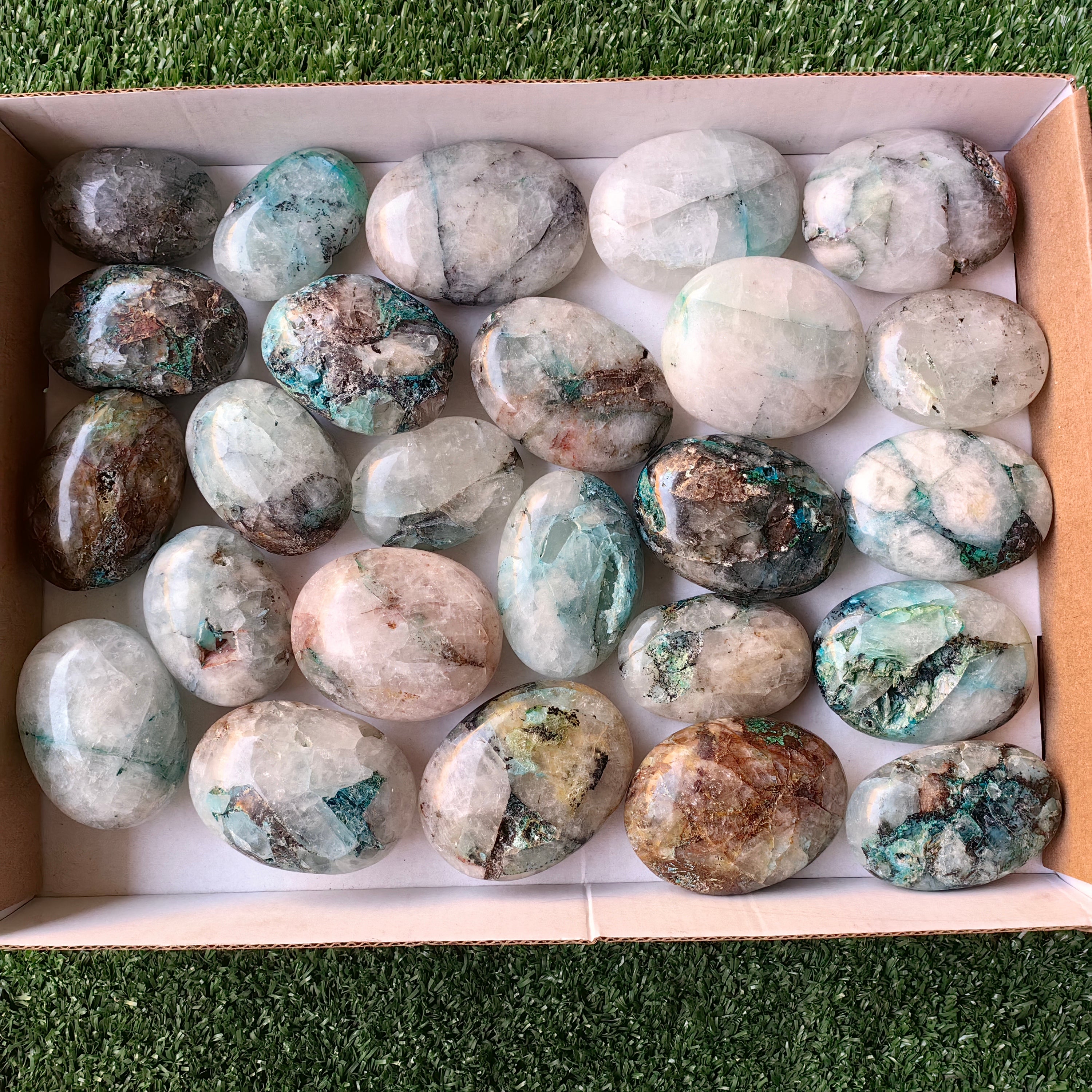 Lot 25 pcs Quantum Quattro Palm