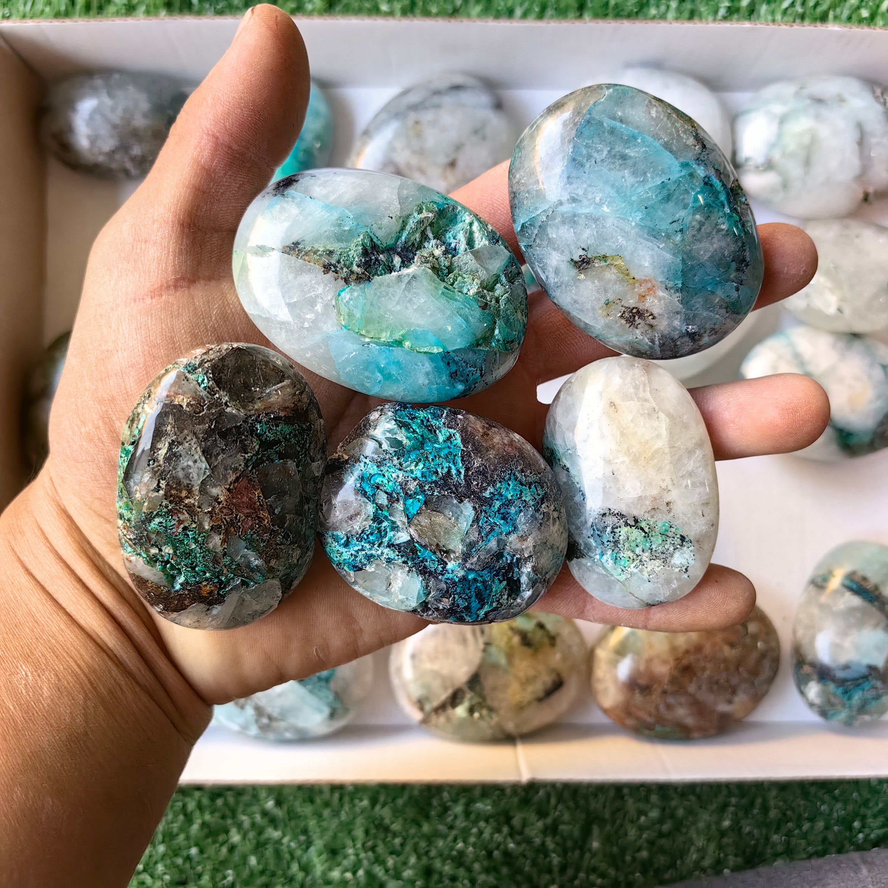 Lot 25 pcs Quantum Quattro Palm