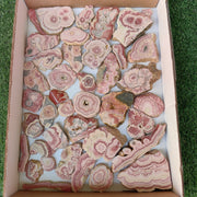 Lot 40 pcs Rhodochrosite Slices