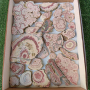 Lot 25 pcs Rhodochrosite Slices
