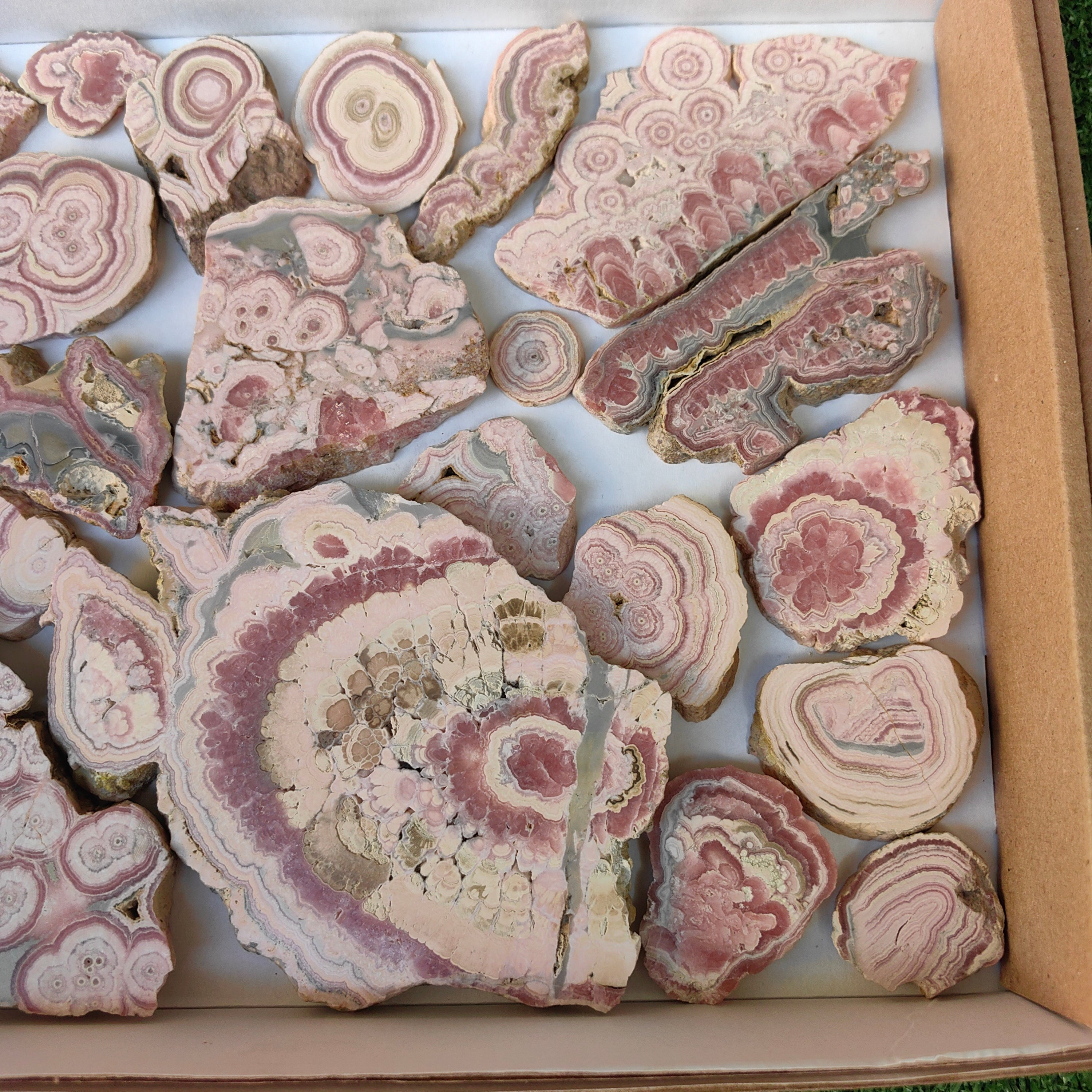 Lot 25 pcs Rhodochrosite Slices